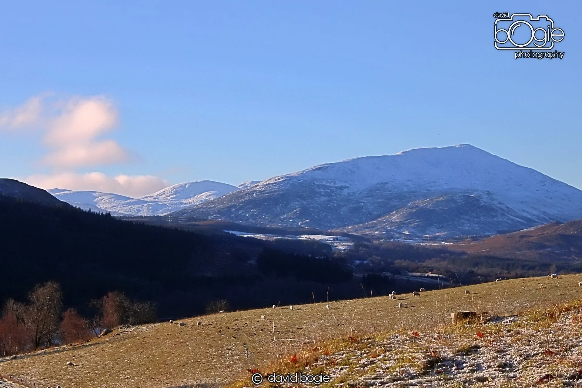 20221215 00007 Aberfeldy.JPG