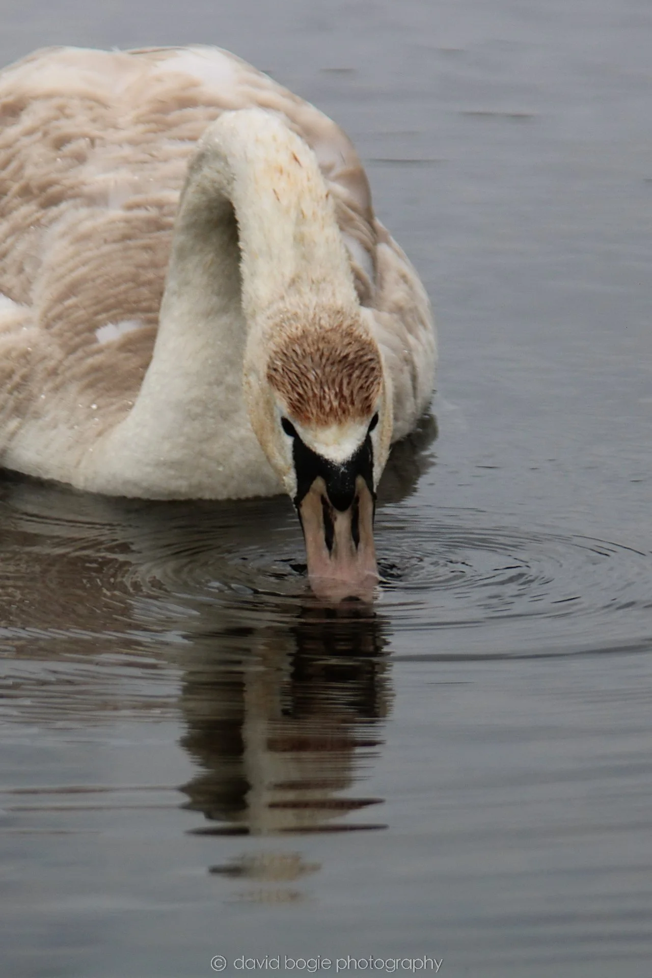YEAR20220426 Lochore 33.jpg