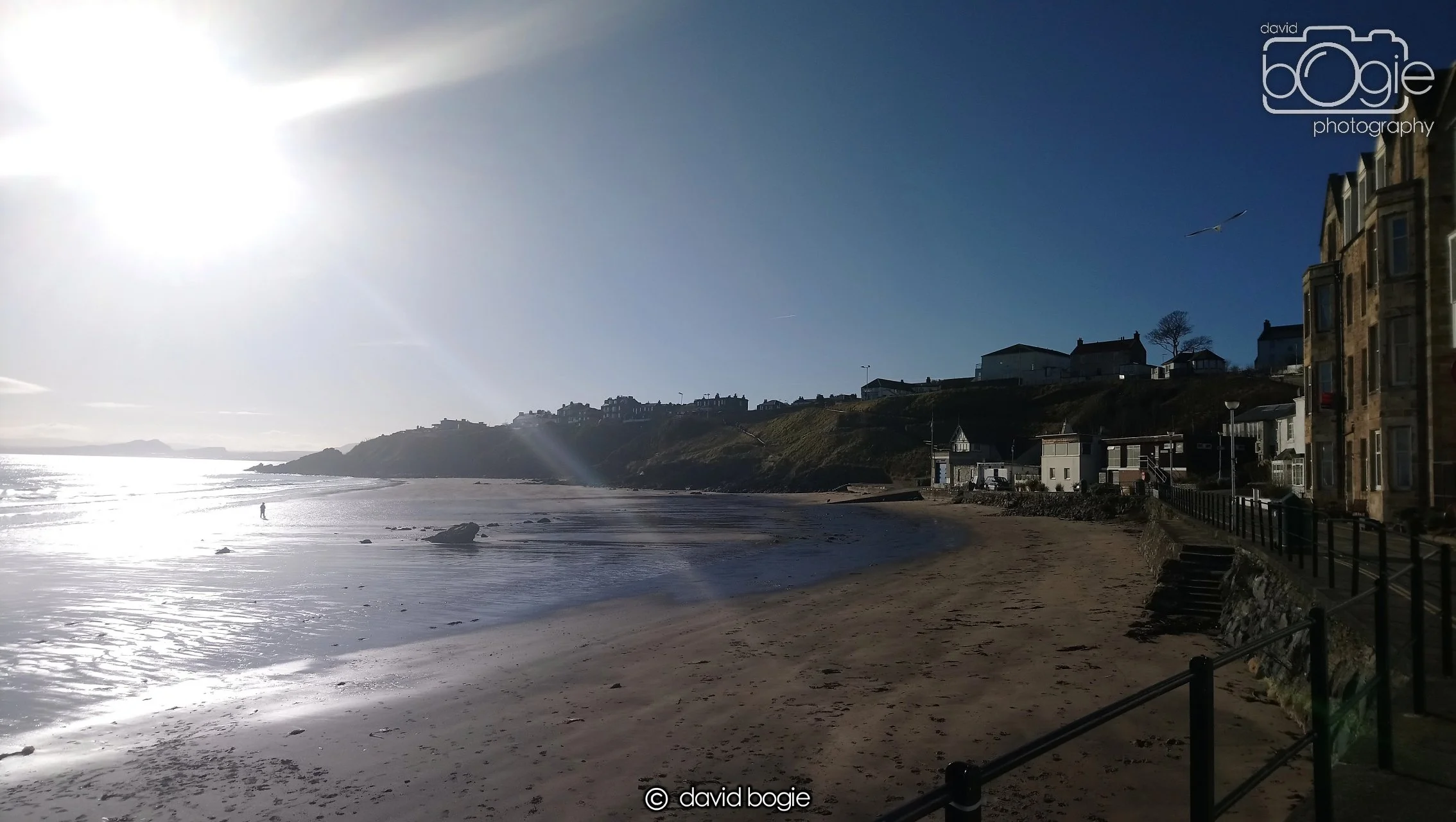 20180202 121455 Kinghorn 0001.JPG