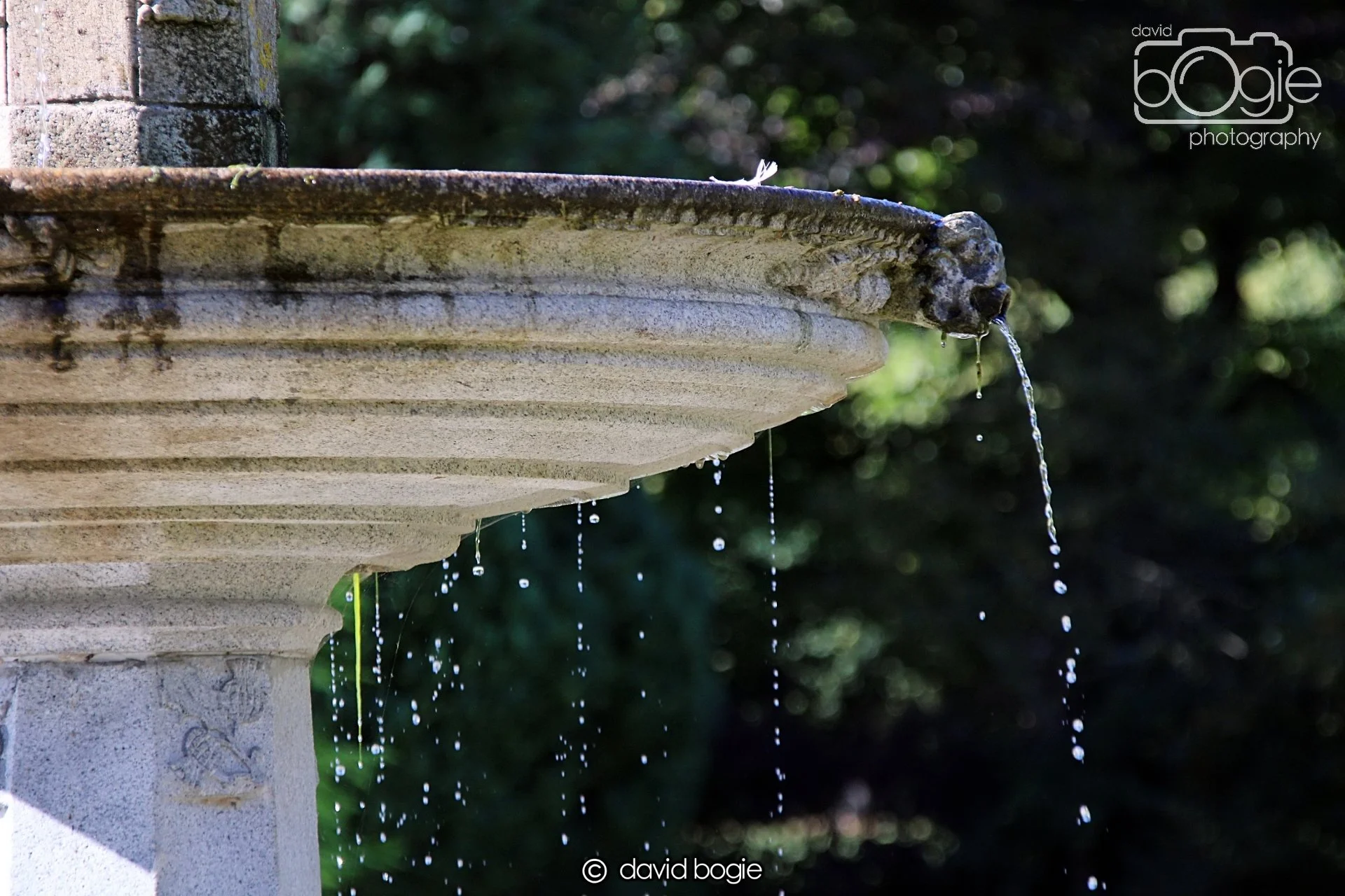 20240918 115201 Beveridge 0174.JPG