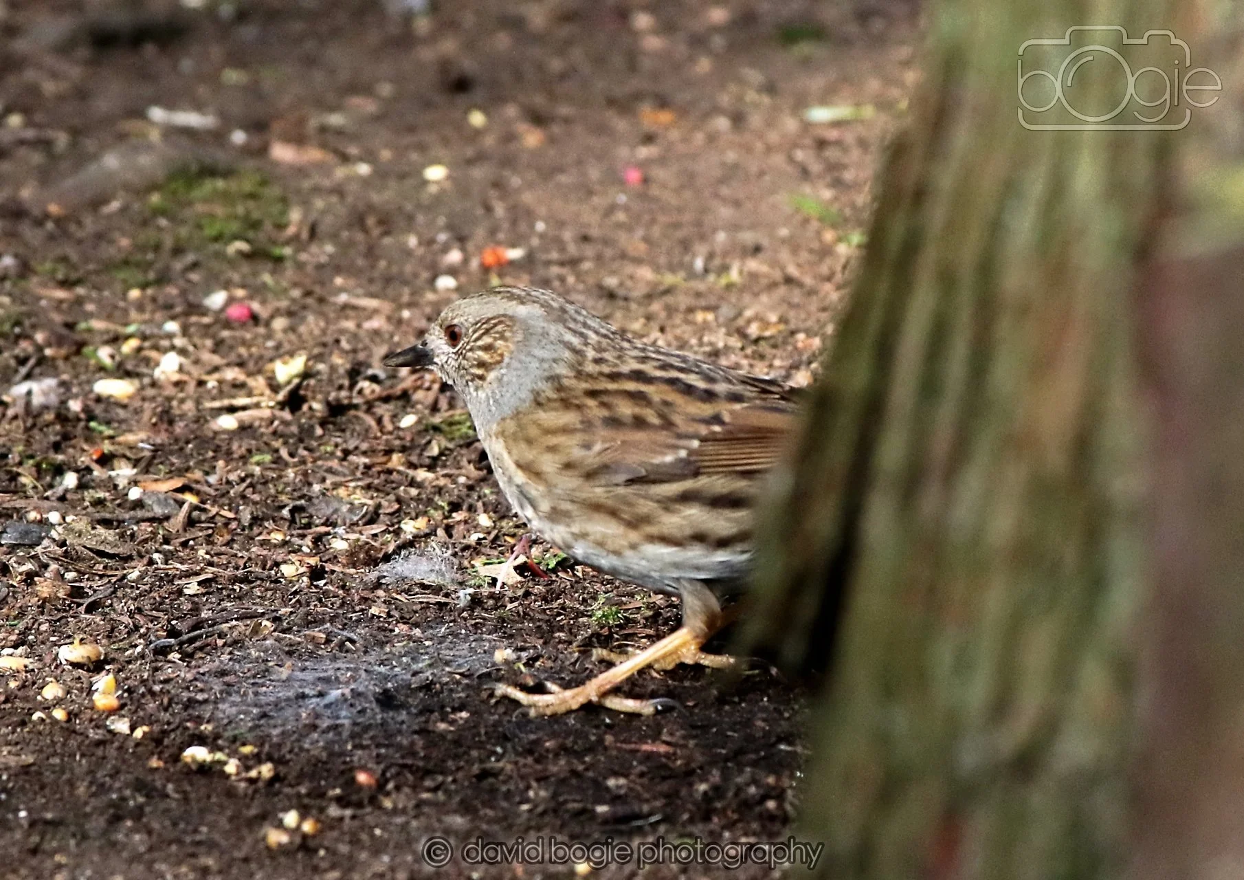 20260322 144509 Dunnikier 0131.jpg