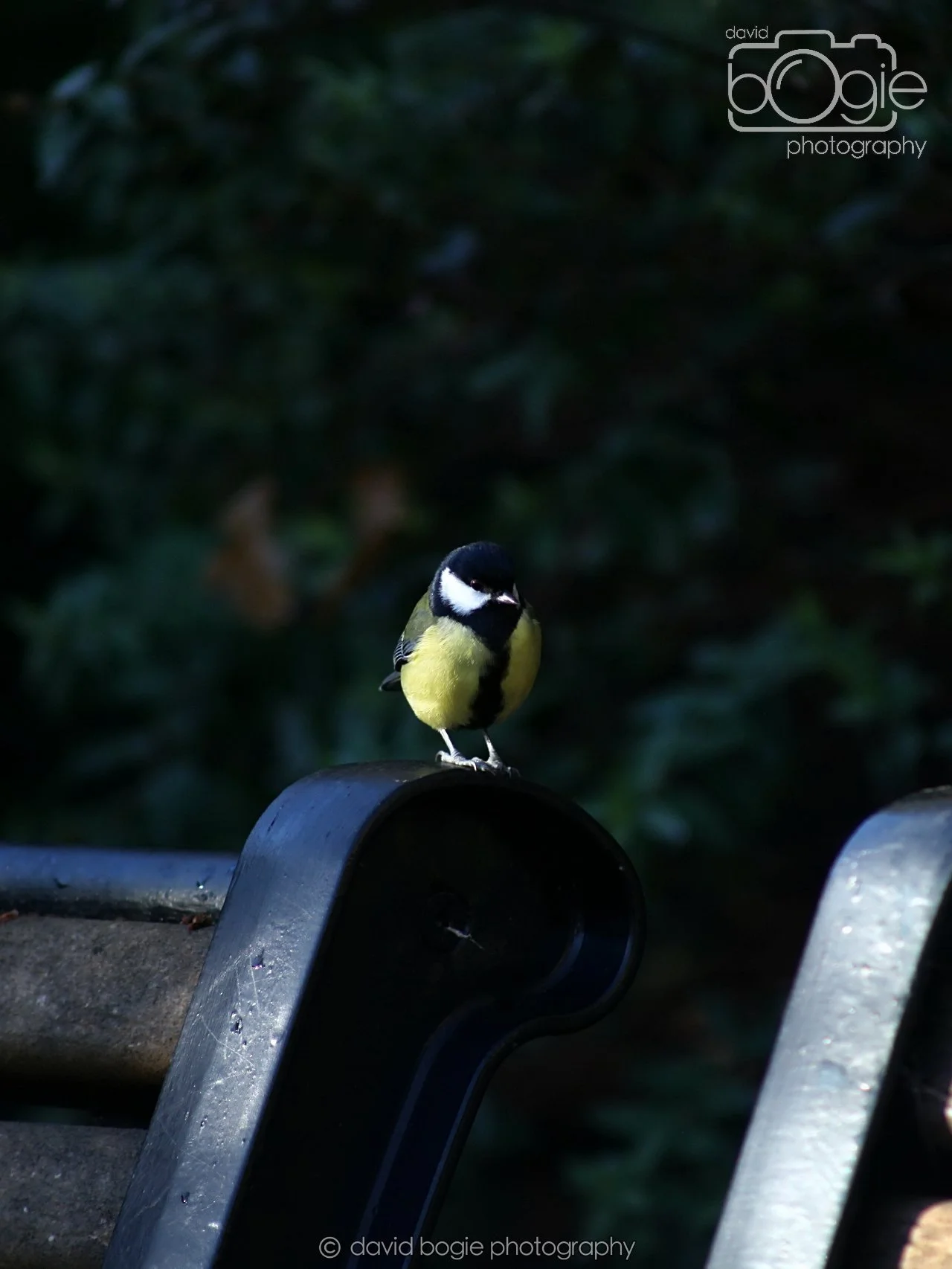 20251125 132727 Silverburn 0031.JPG