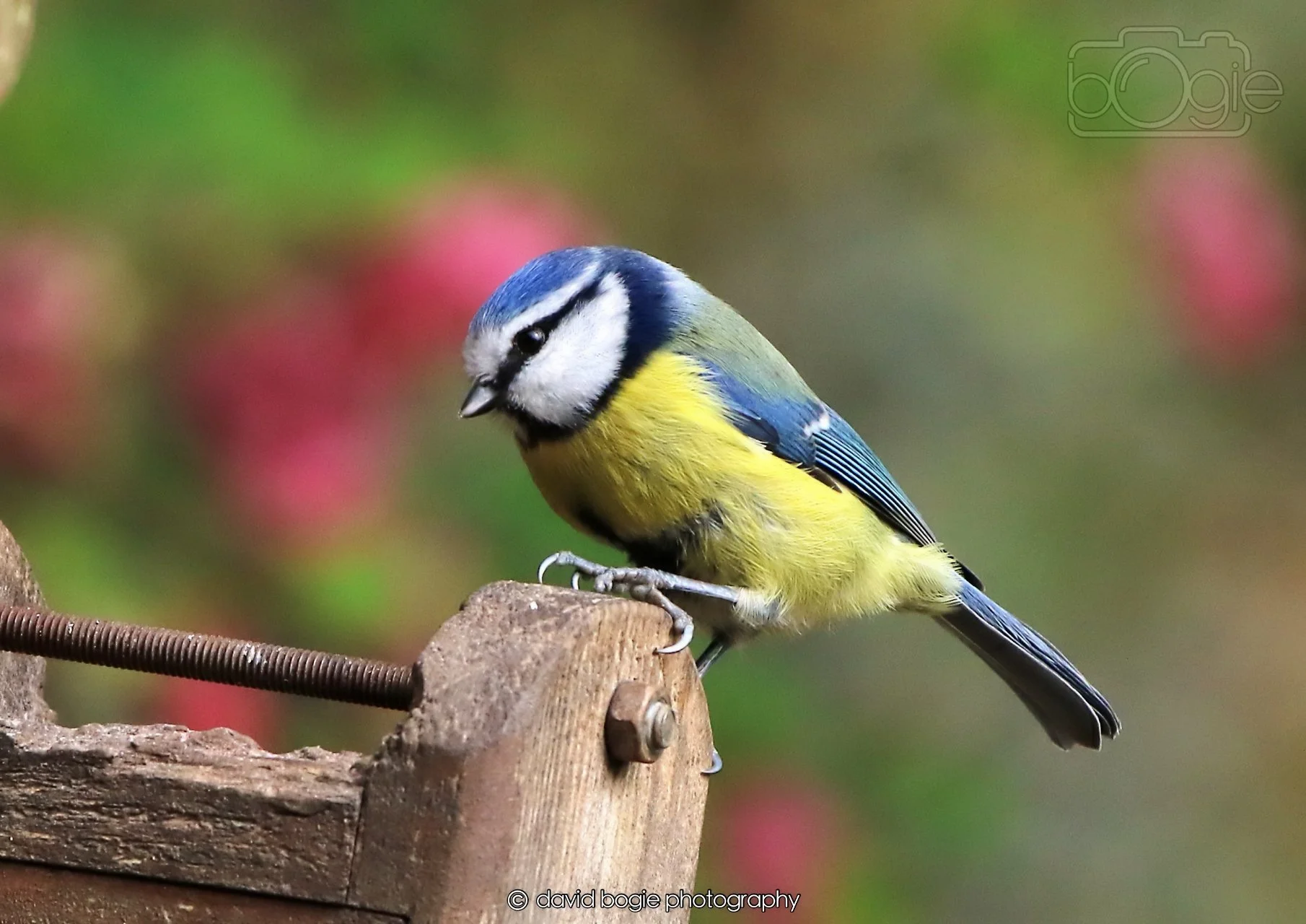 20260326 121207 Silverburn 0462.jpg