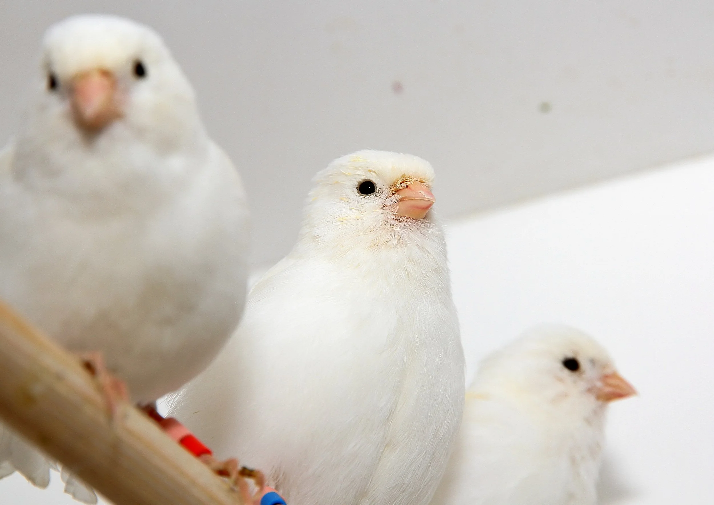 20260331 111737 K&S 0445.jpg