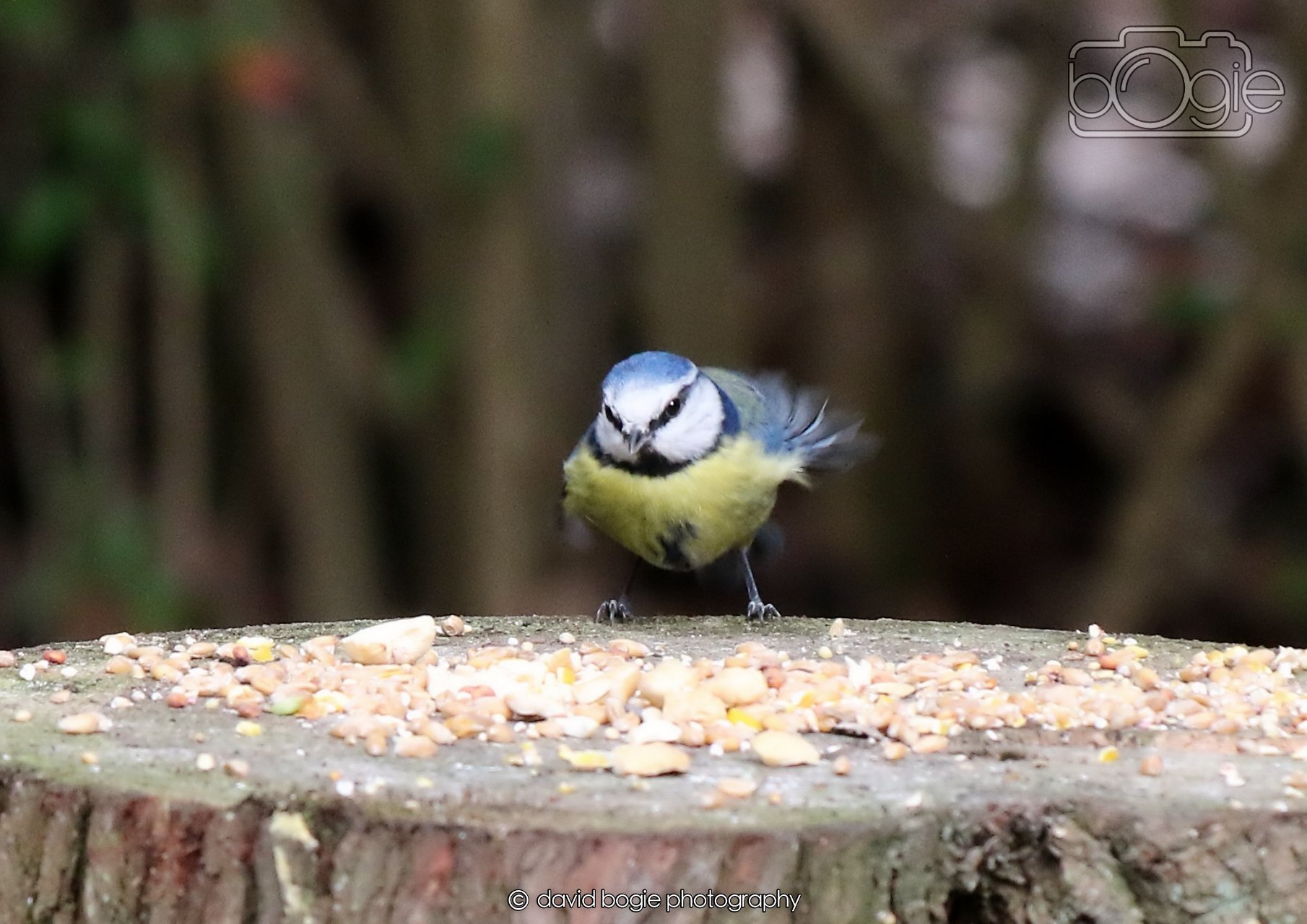 20260330 121536 Dunnikier 0385.jpg