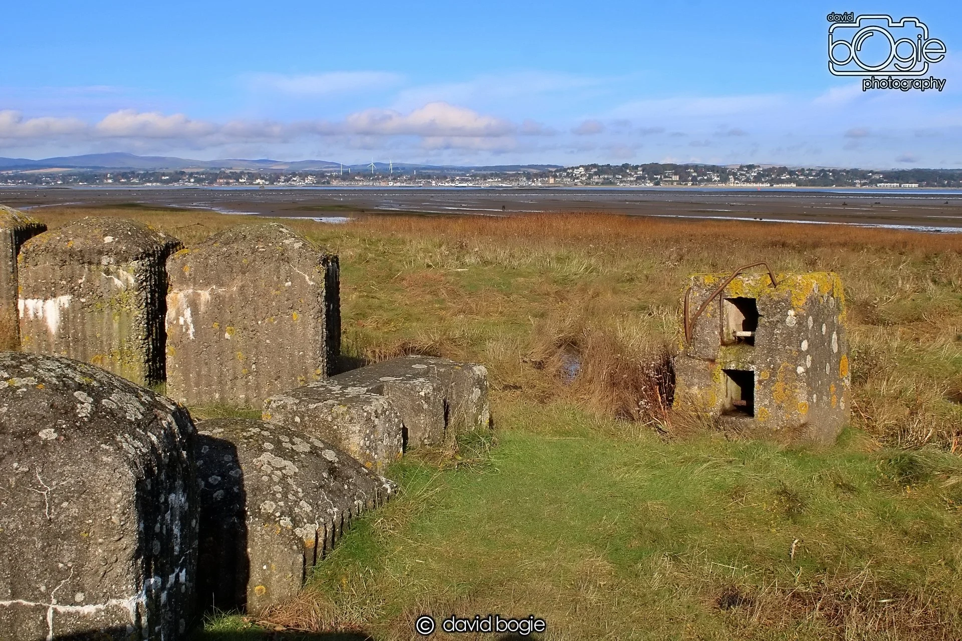 20191014 115137 Tentsmuir 0029.JPG