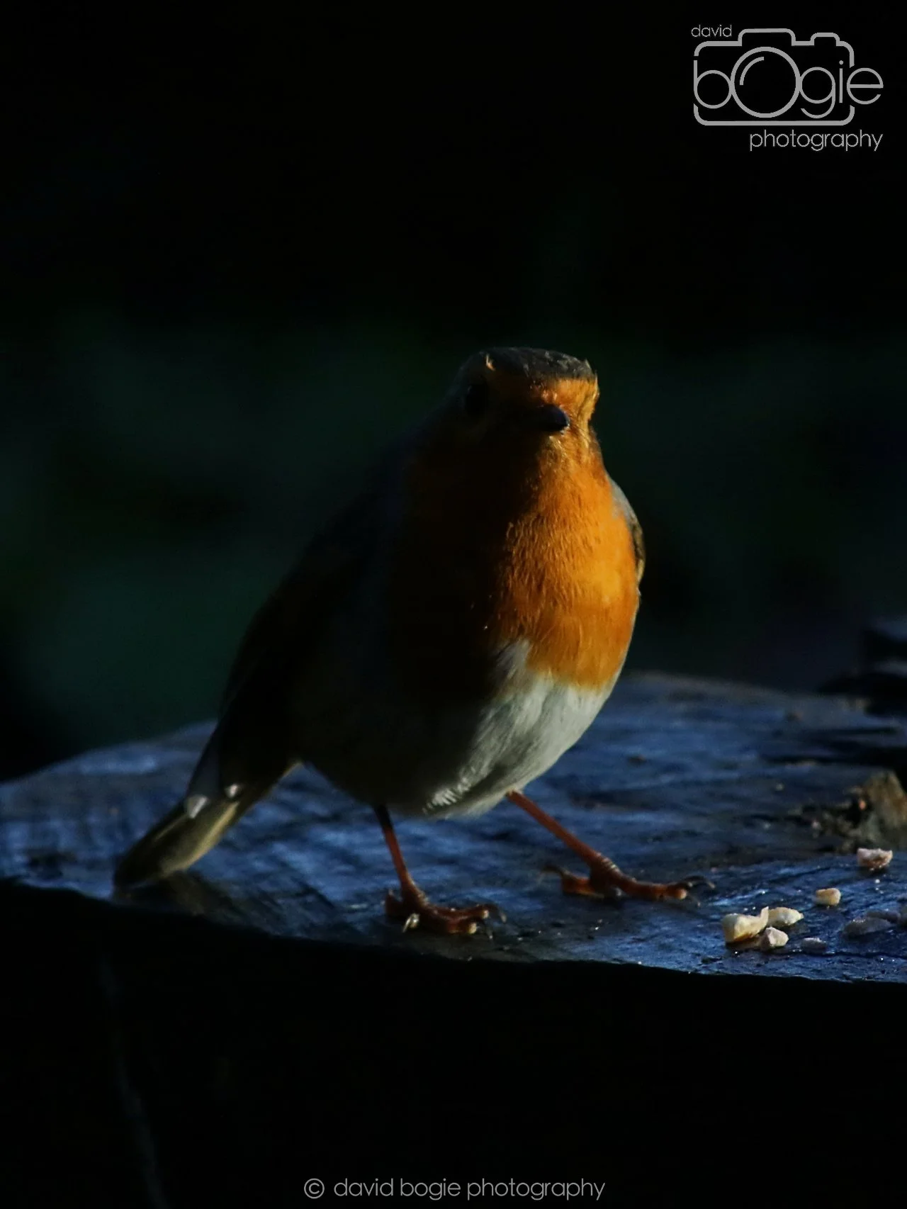 20251125 142918 Silverburn 0725.JPG