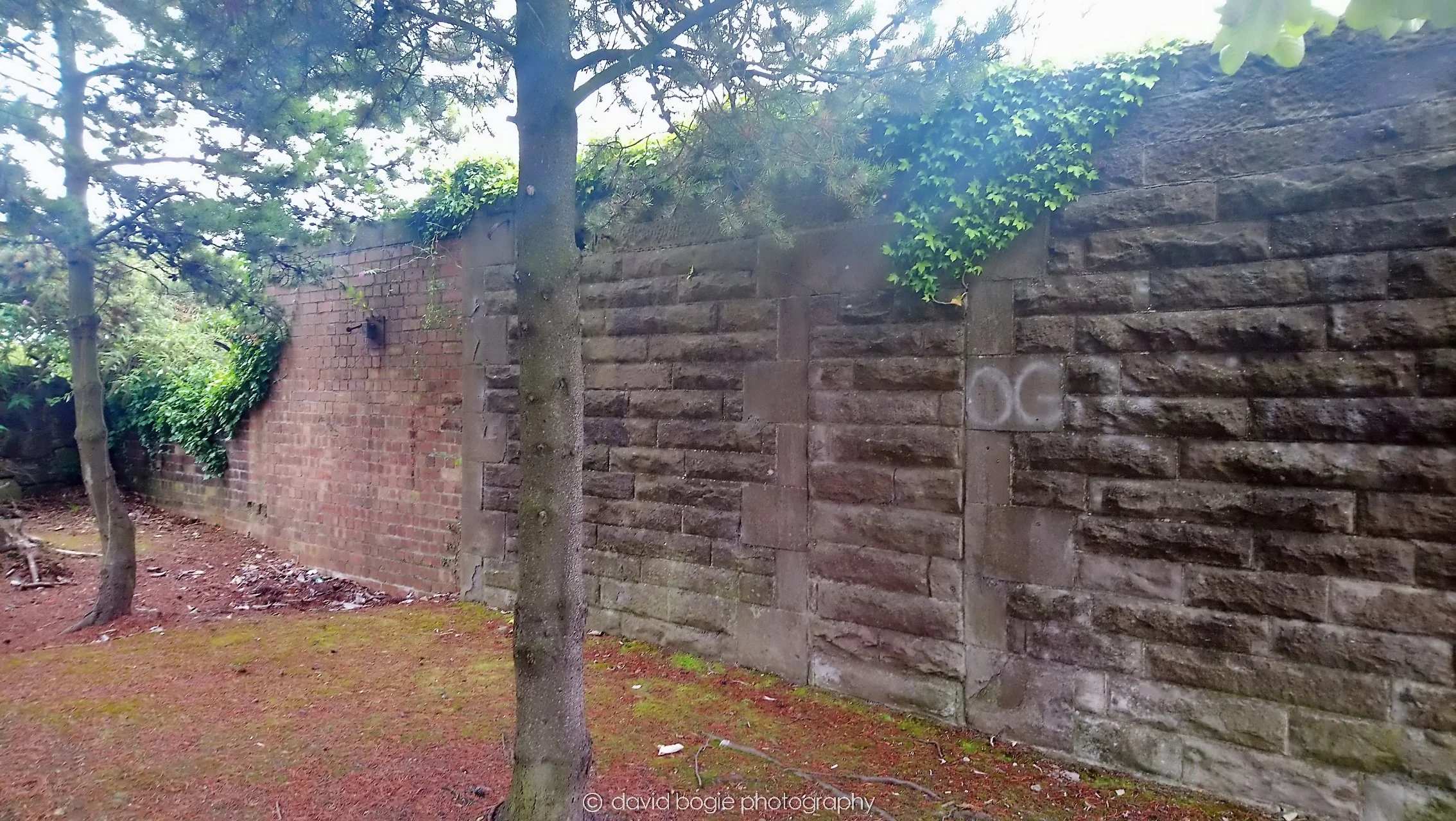 YEAR20180828 110753 Kirkcaldy 0007.jpg