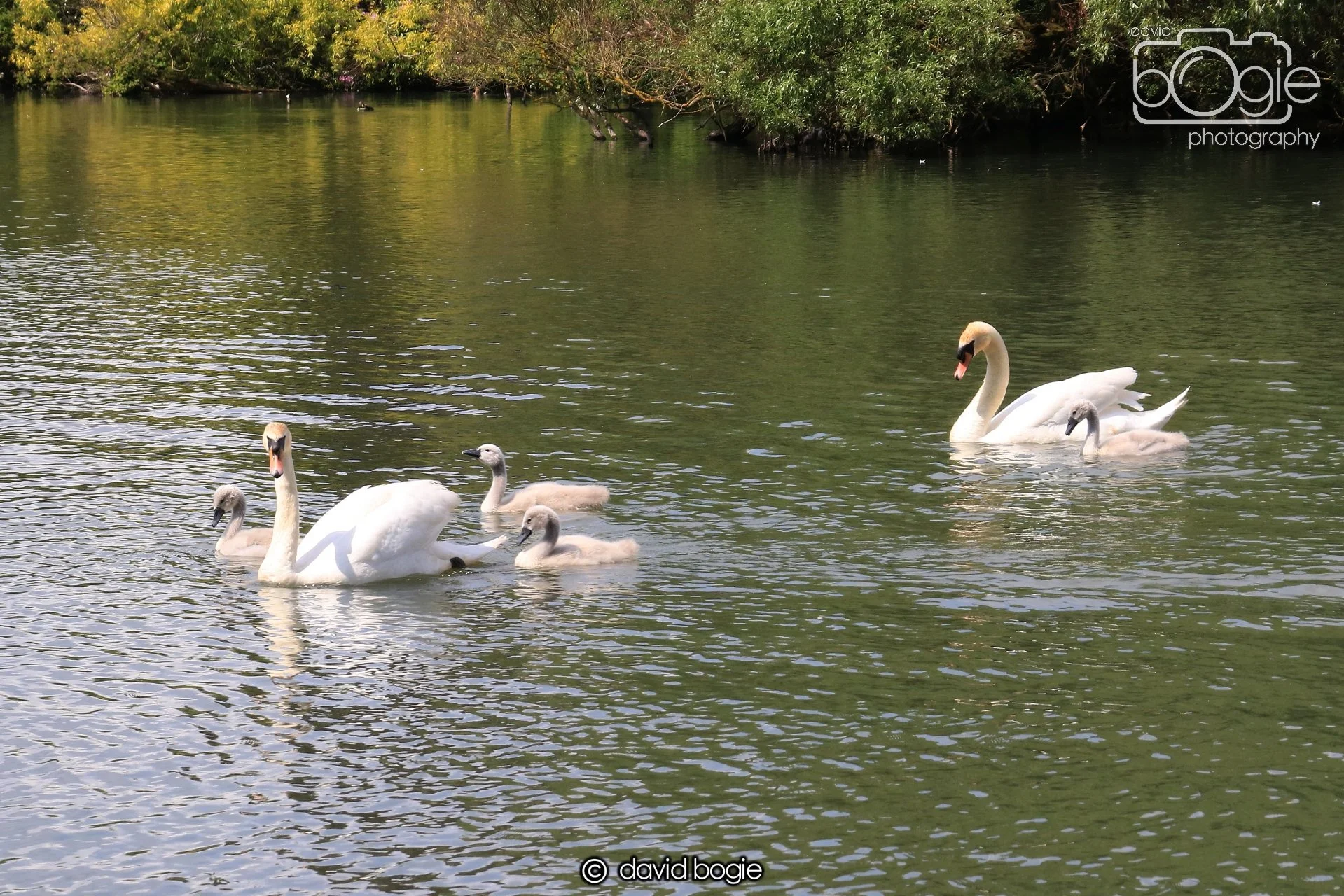 20250613 114827 Beveridge 0035.JPG