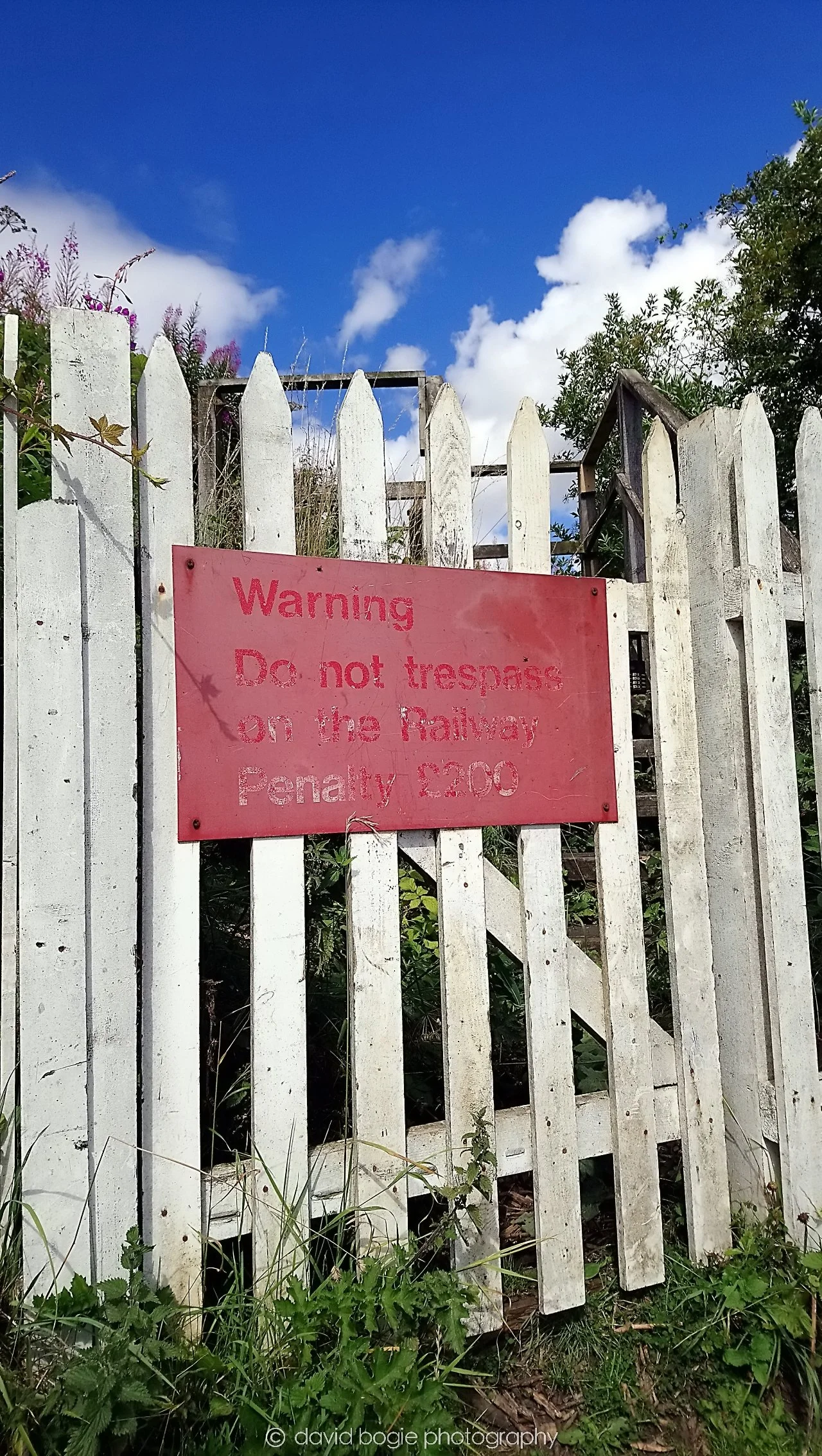 YEAR20180809 122710 Wemyss Firs 0002.jpg