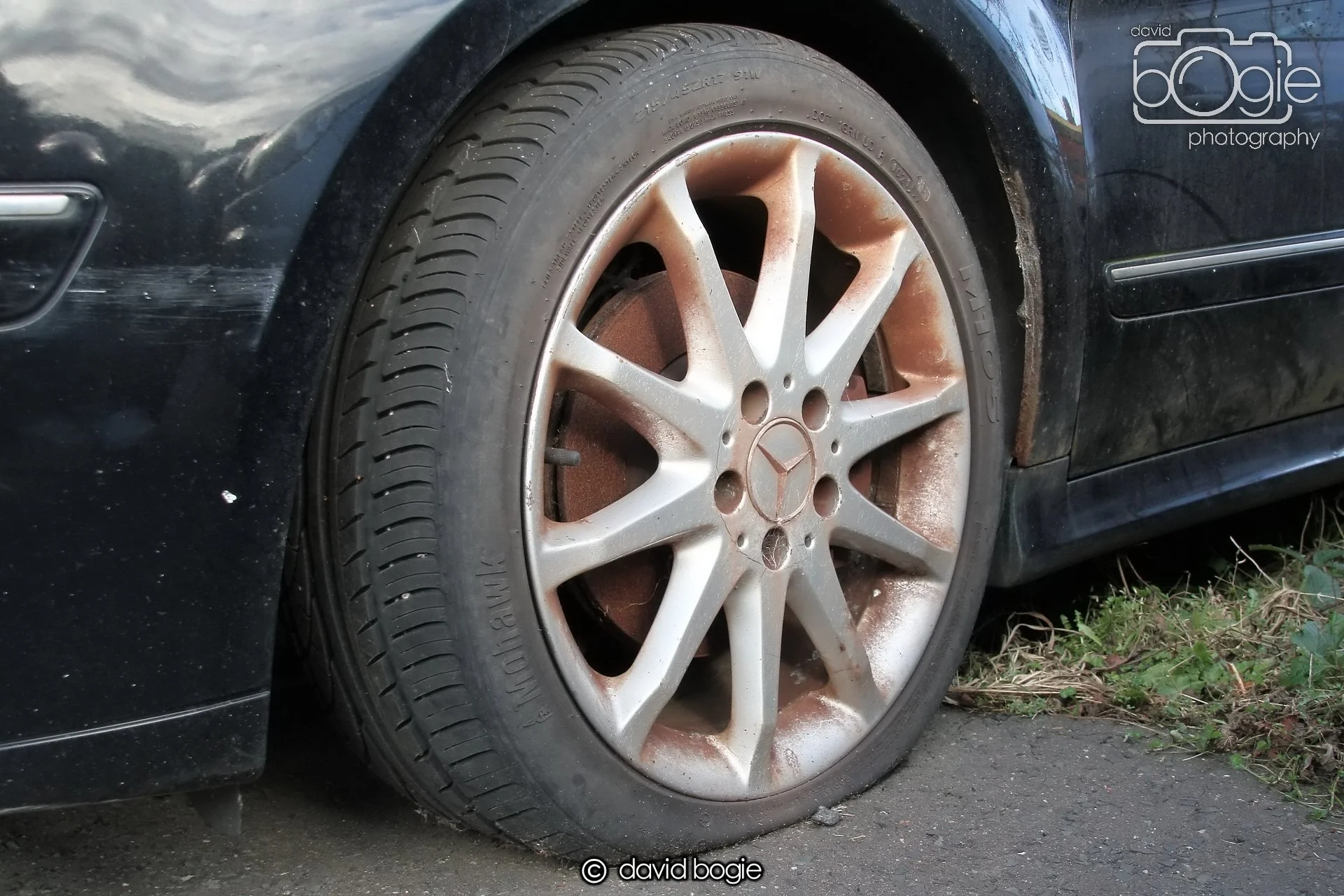 20250129 131300 Reekies 0132 1.JPG