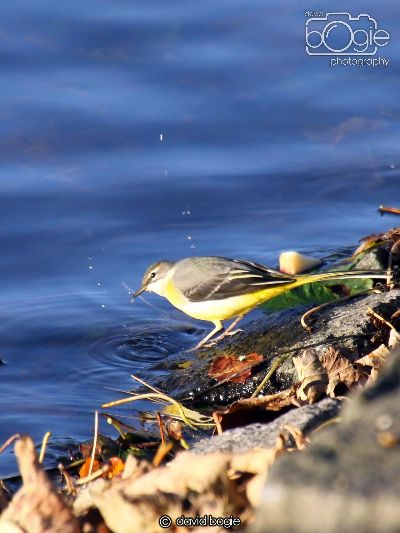 20231022  Beveridge Park  163034 0067.jpg