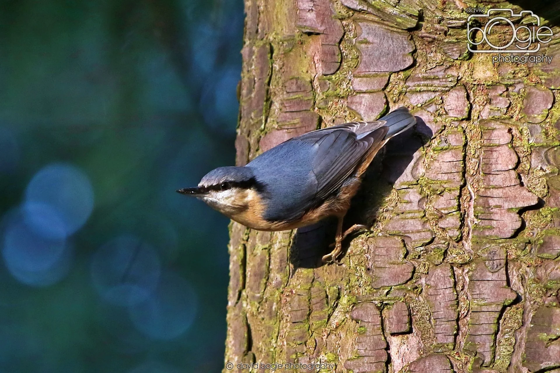 20260128 143406 Dunnikier 0404.JPG