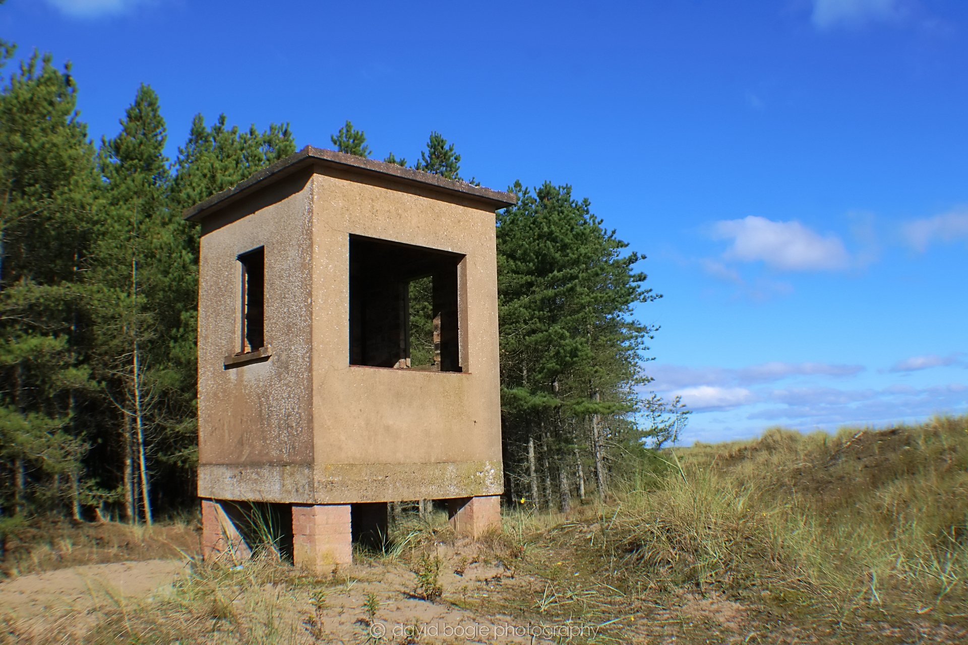 20191002 122134 Tentsmuir 0007.jpg