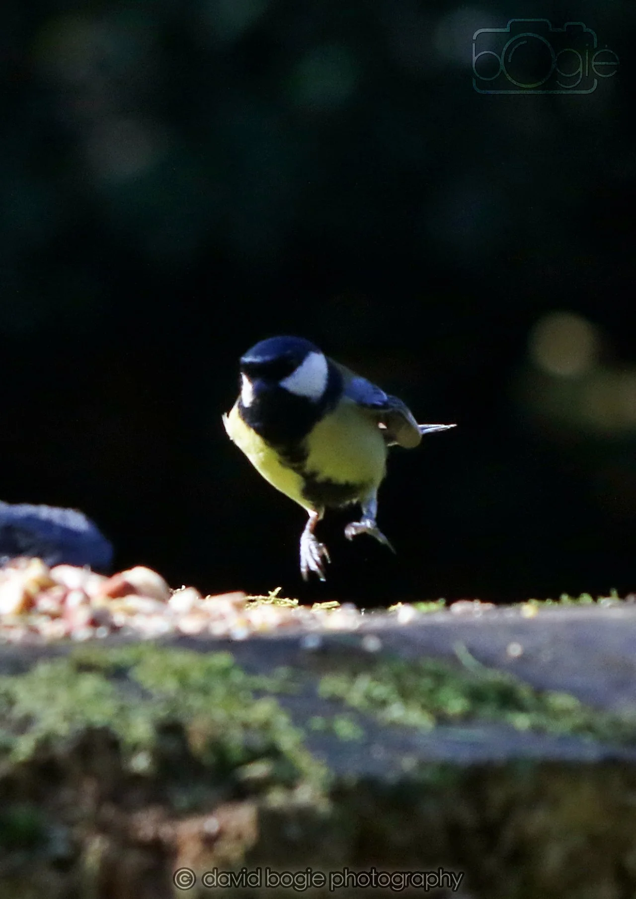 20260320 140700 Ravenscraig 0159.jpg