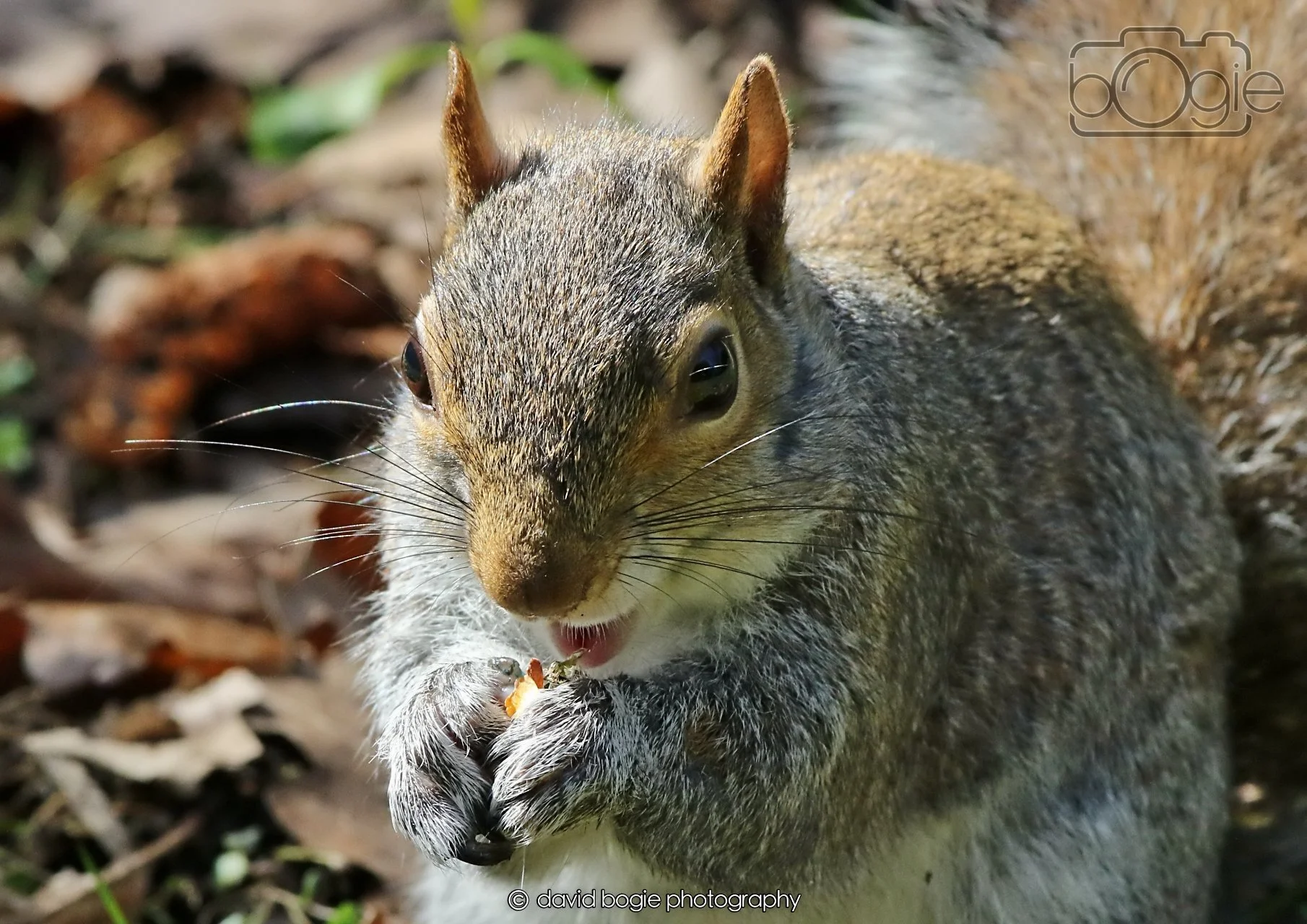 20260402 123340 Ravenscraig 0416.jpg