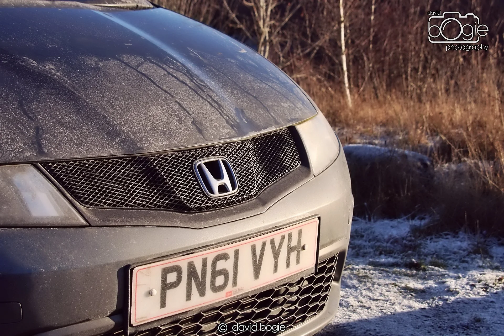 20221215 00281 Dunalistair.JPG