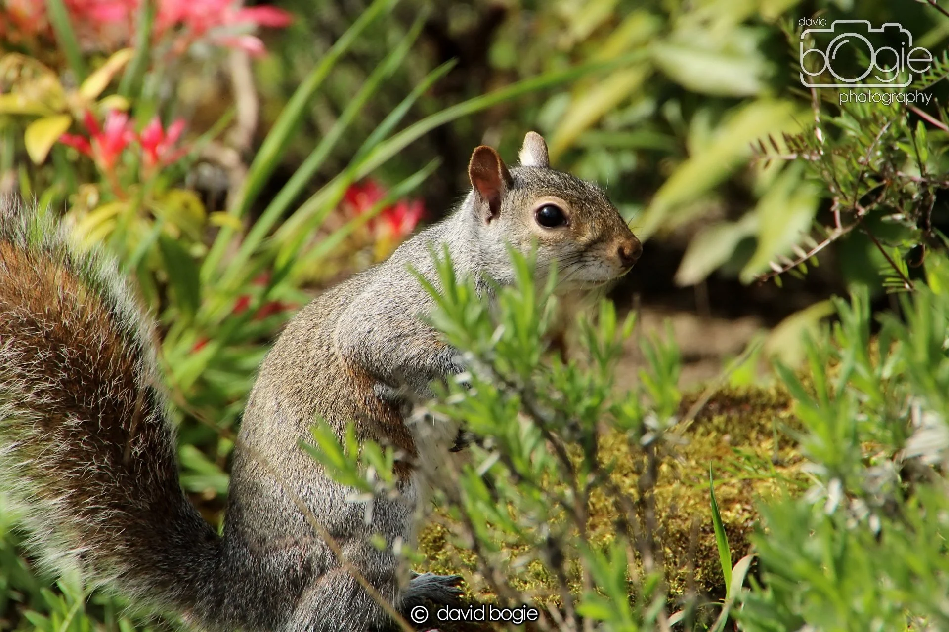 20240423 112715 Beveridge 0029.JPG