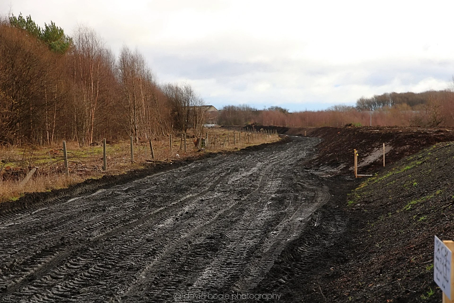 YEAR20220202 Levenmouth 00015.jpg