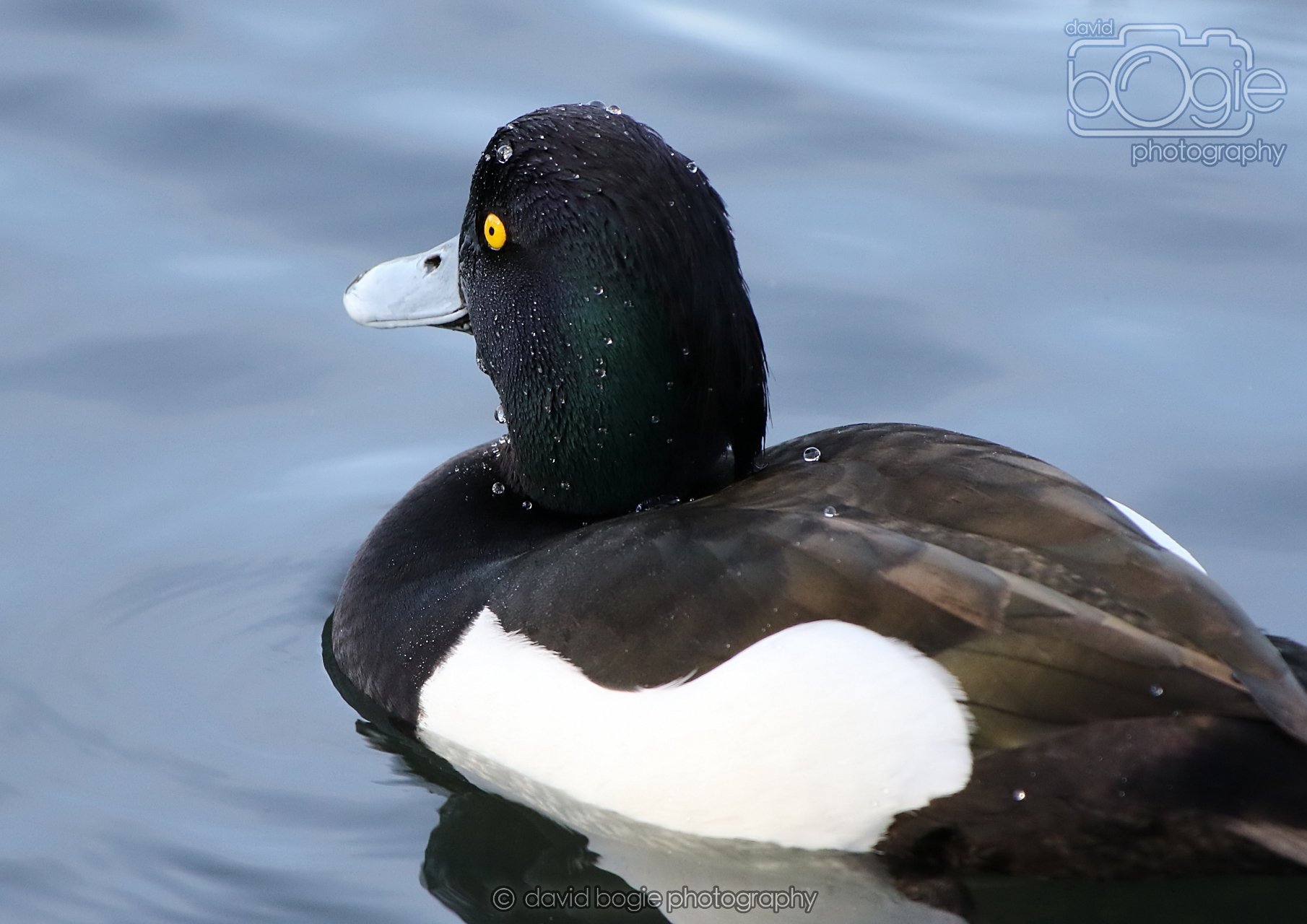 20260319 133531 Beveridge Park 0498.jpg