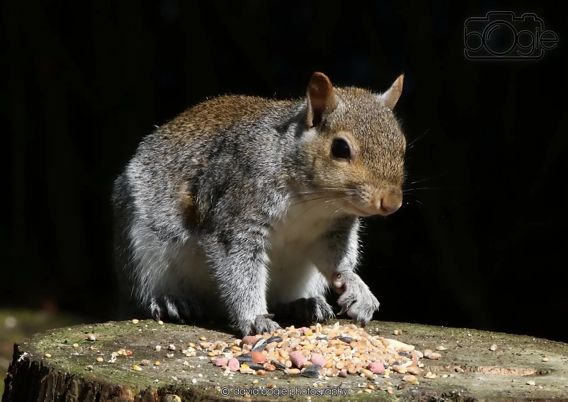 20260403 121518 Dunnikier 0104.jpg