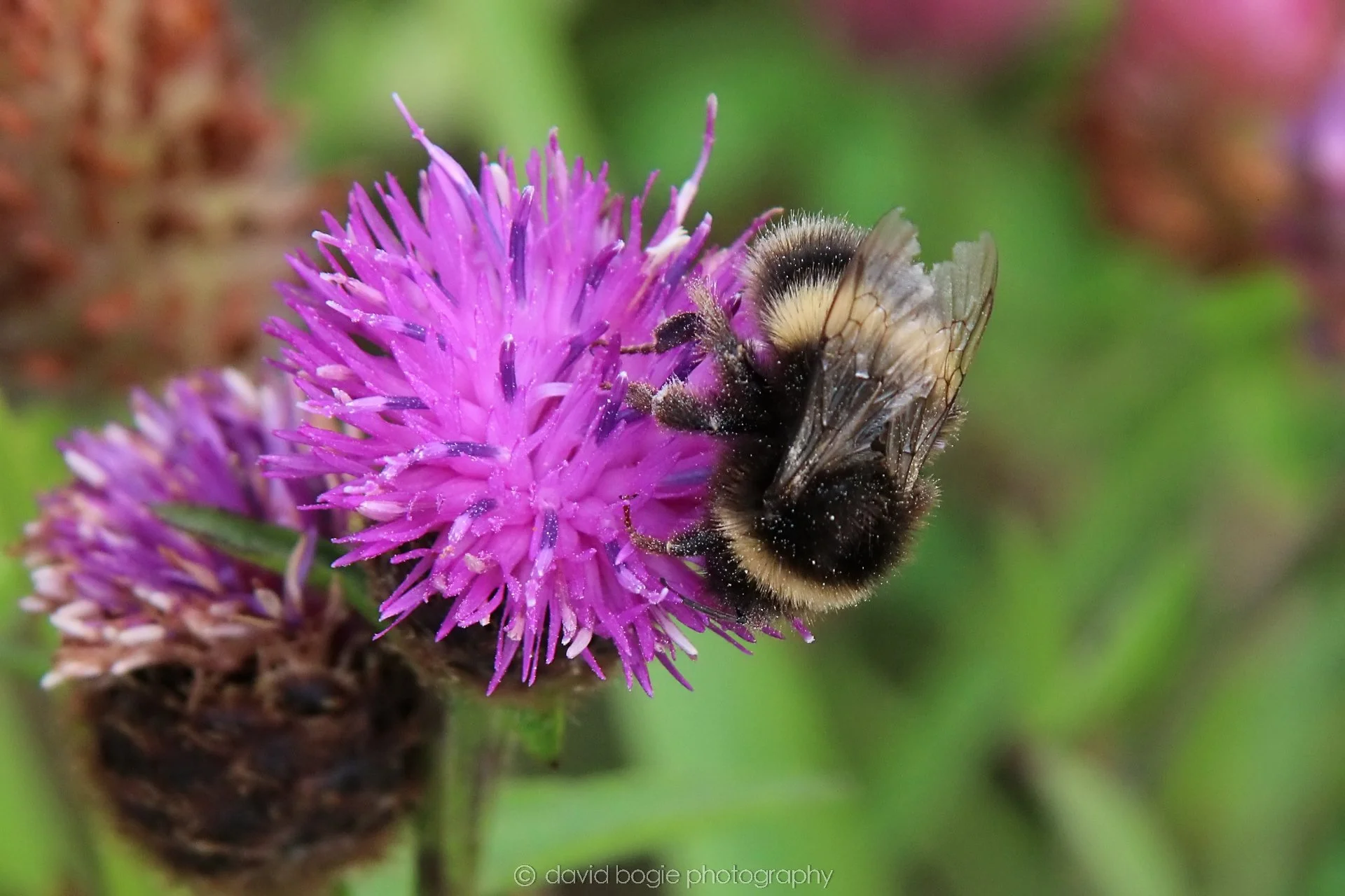 20210729 Lochore 10.jpg