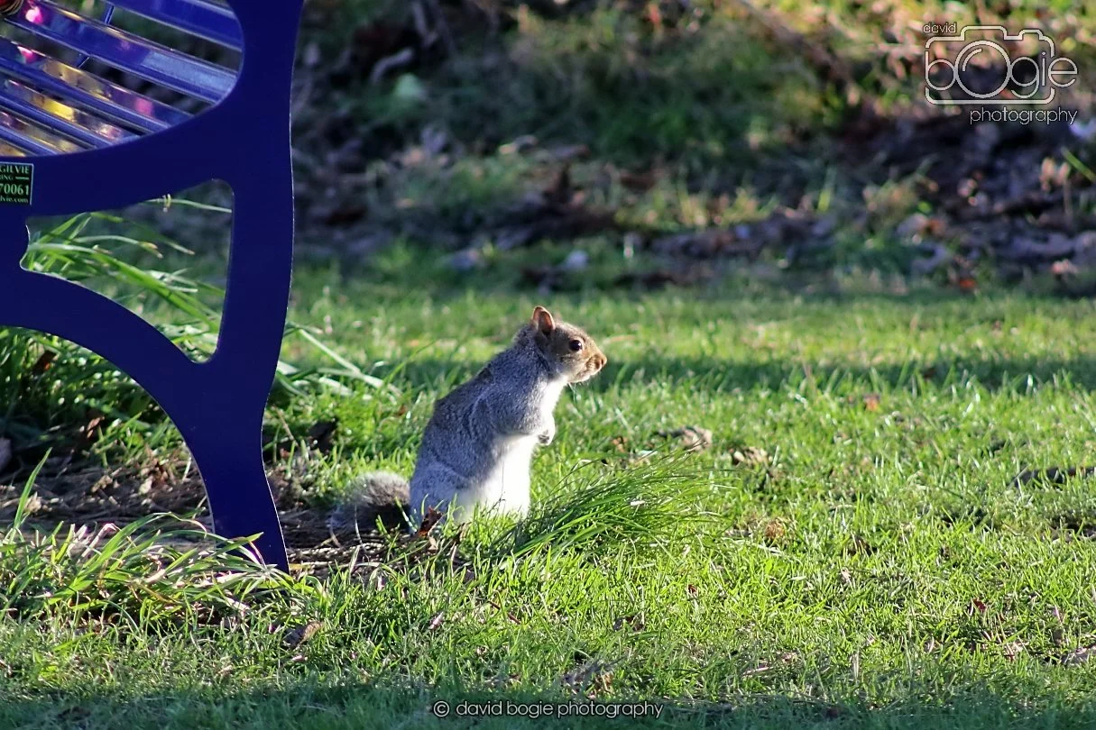 20260103 113300 Beveridge Park 0087.JPG