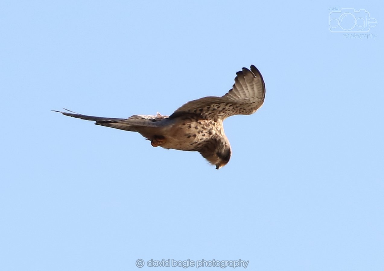 20260314 162241 Elie 0127.jpg