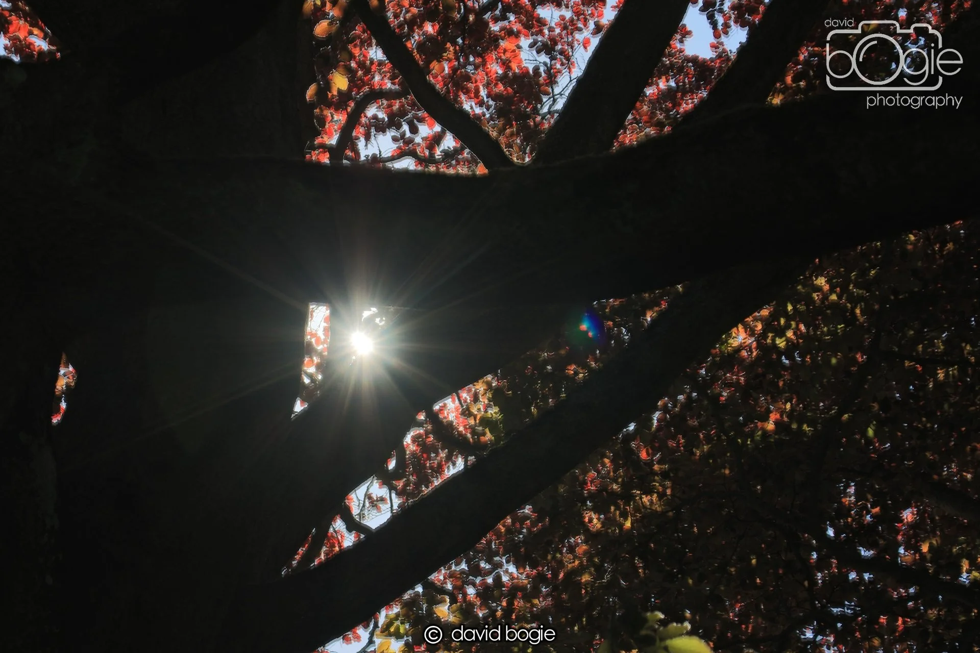 20250517 141004 Beveridge Park 0726.JPG