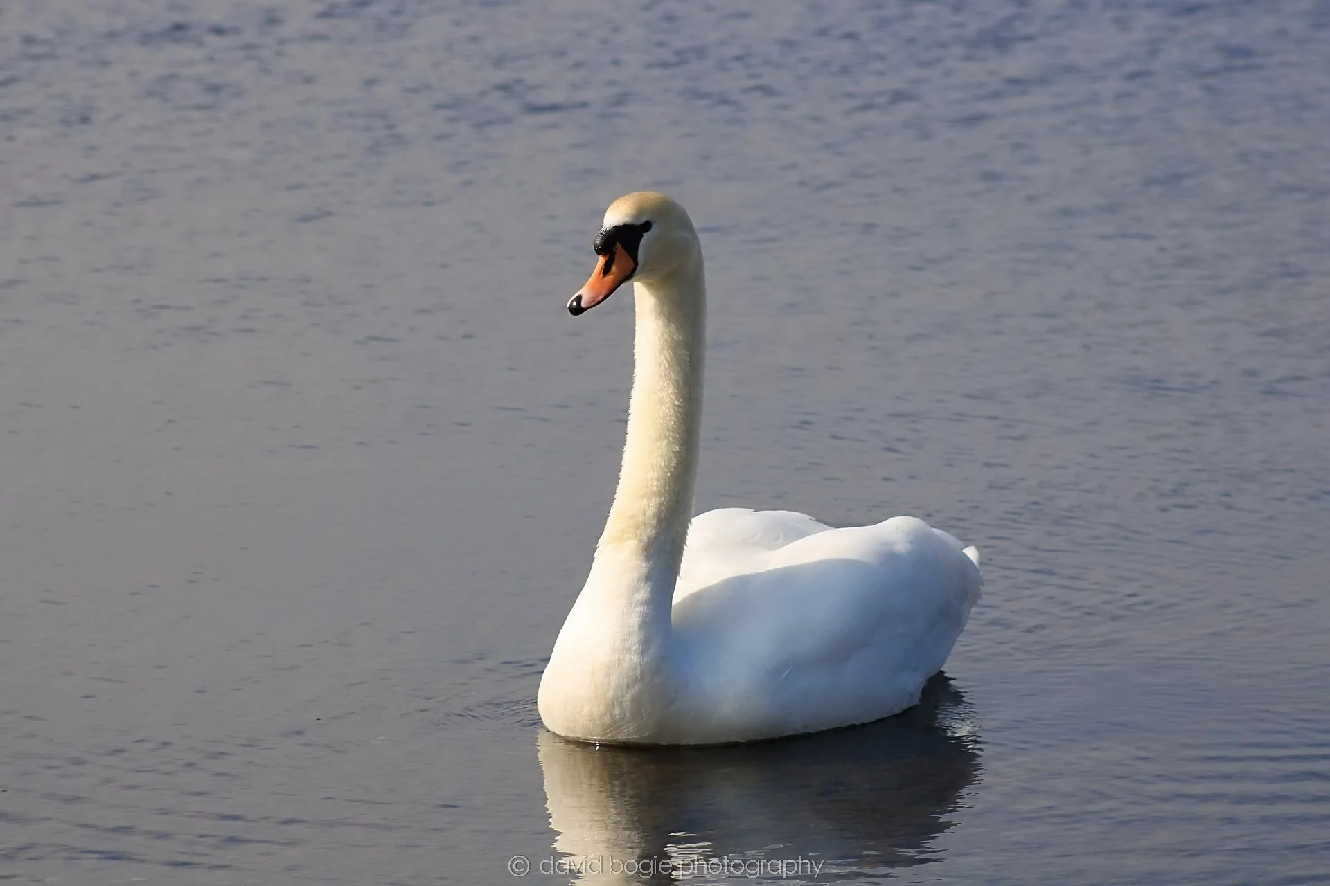 20190405 105104 Lochore 0021.jpg