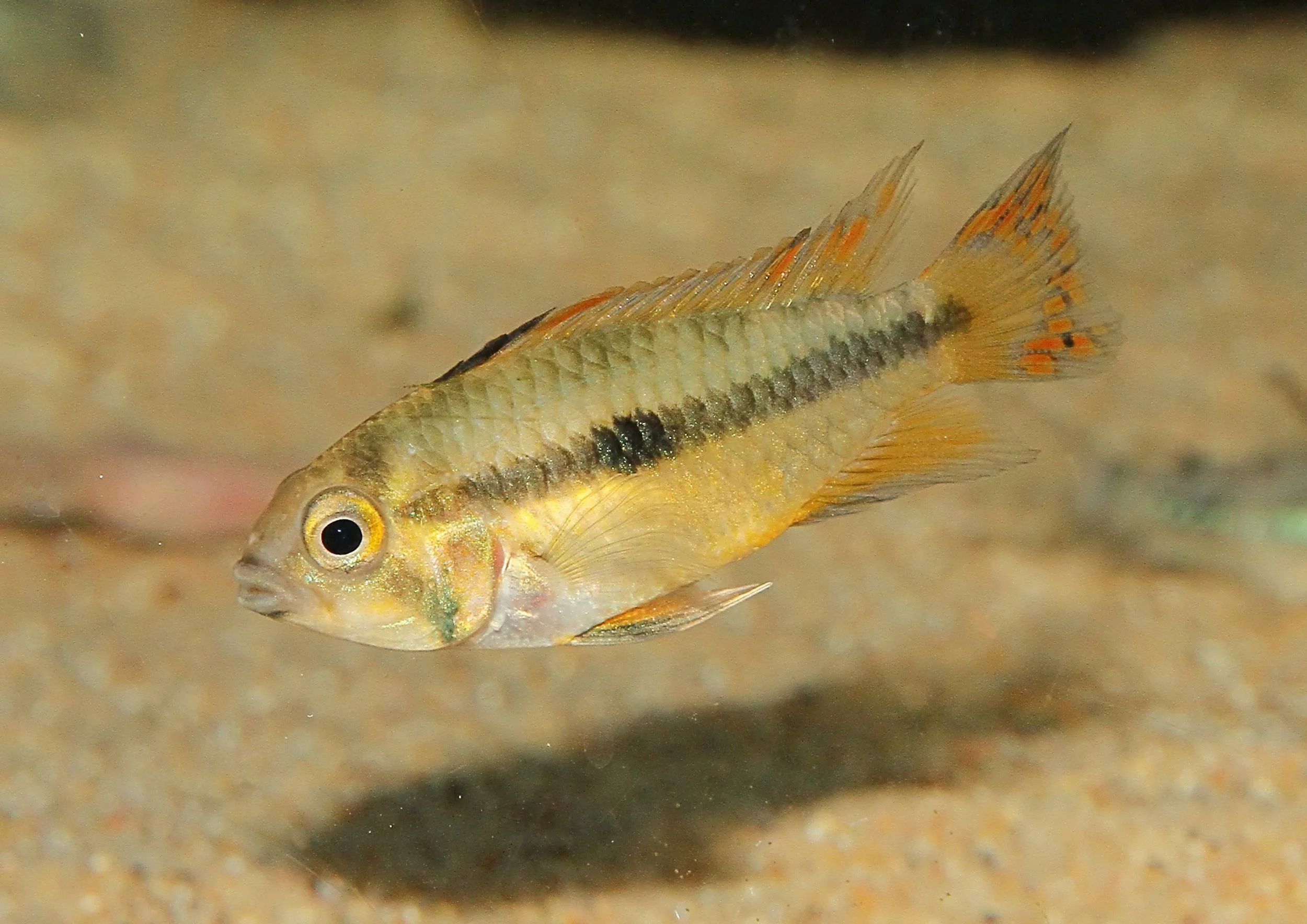 20260403 142131 IMG_0189.jpg