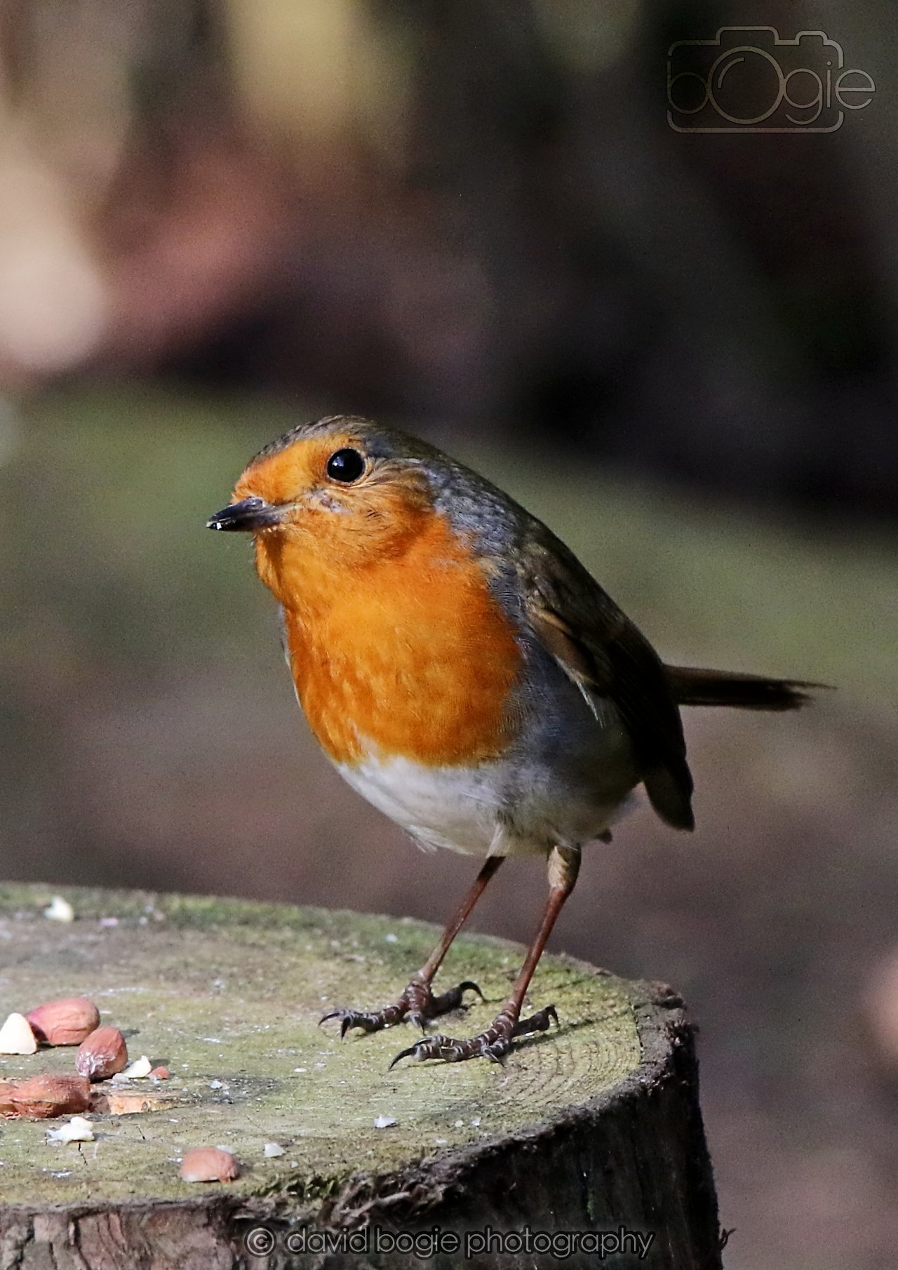 20260322 151811 Dunnikier 0348.jpg