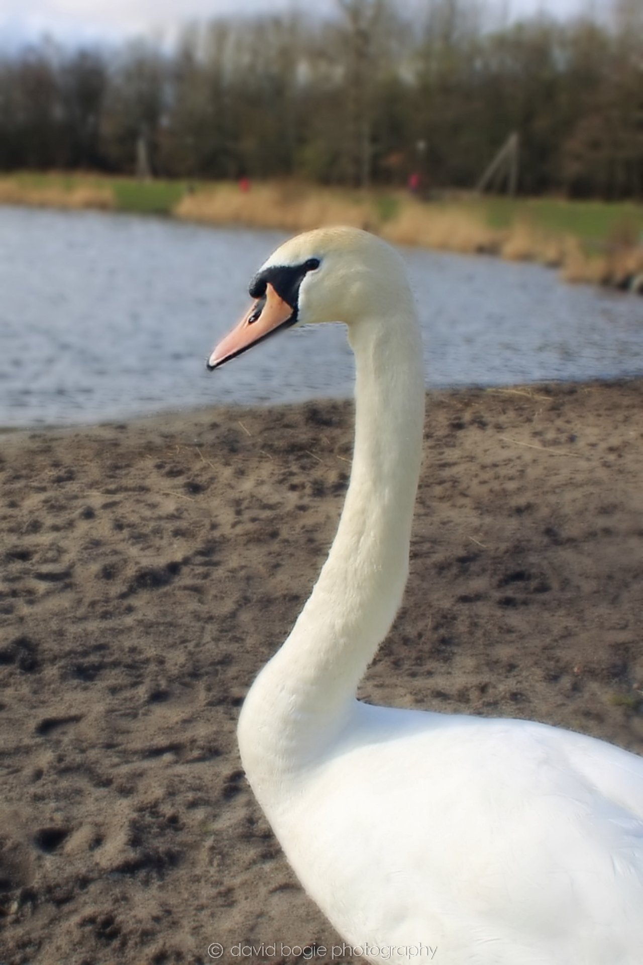 20190318 120136 Lochore 0004.jpg