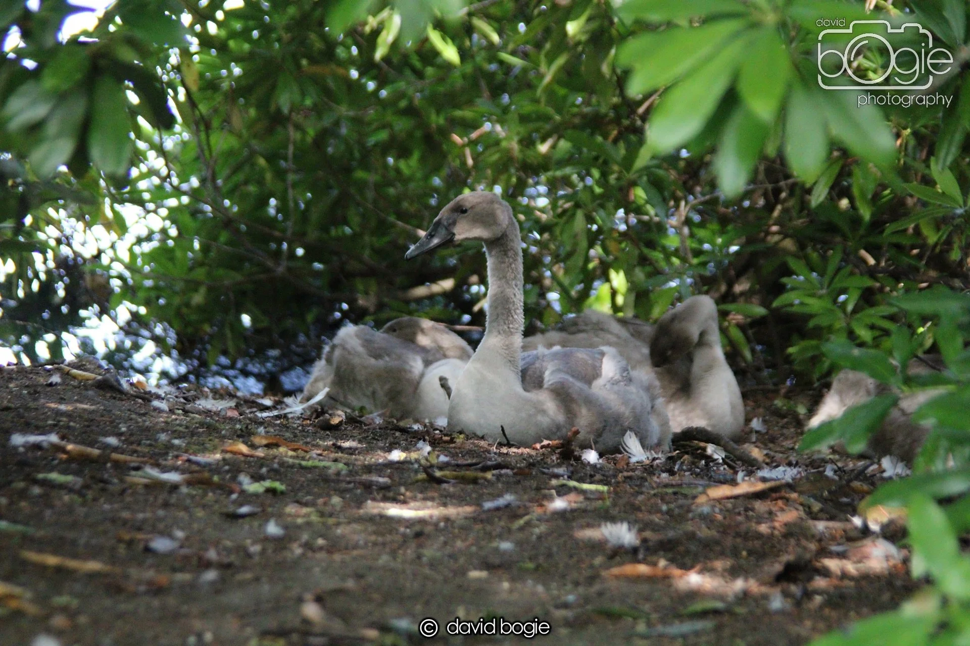 20210727 Beveridge Park26 .JPG