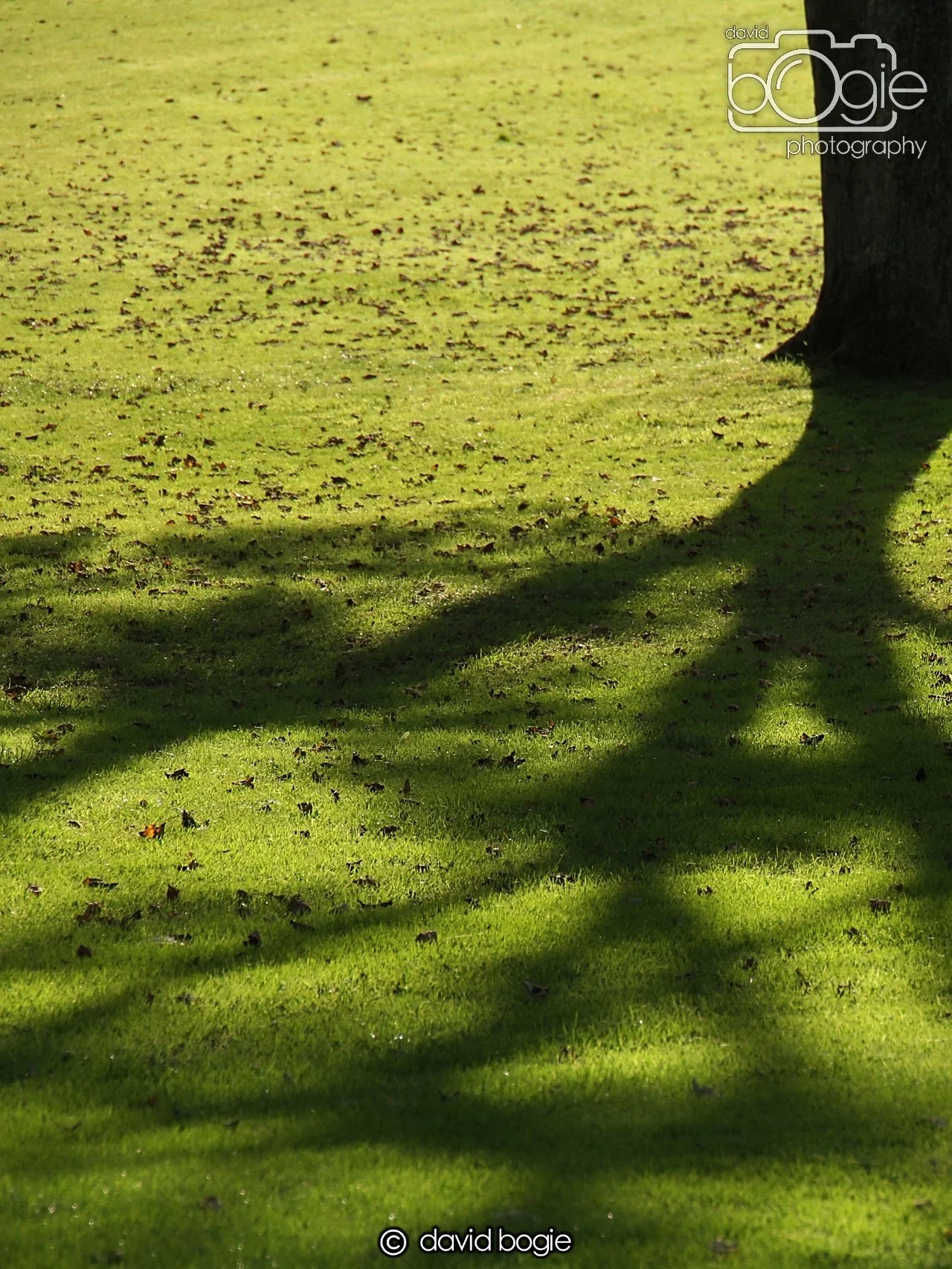 20231016 Beveridge 133350 0067.jpg