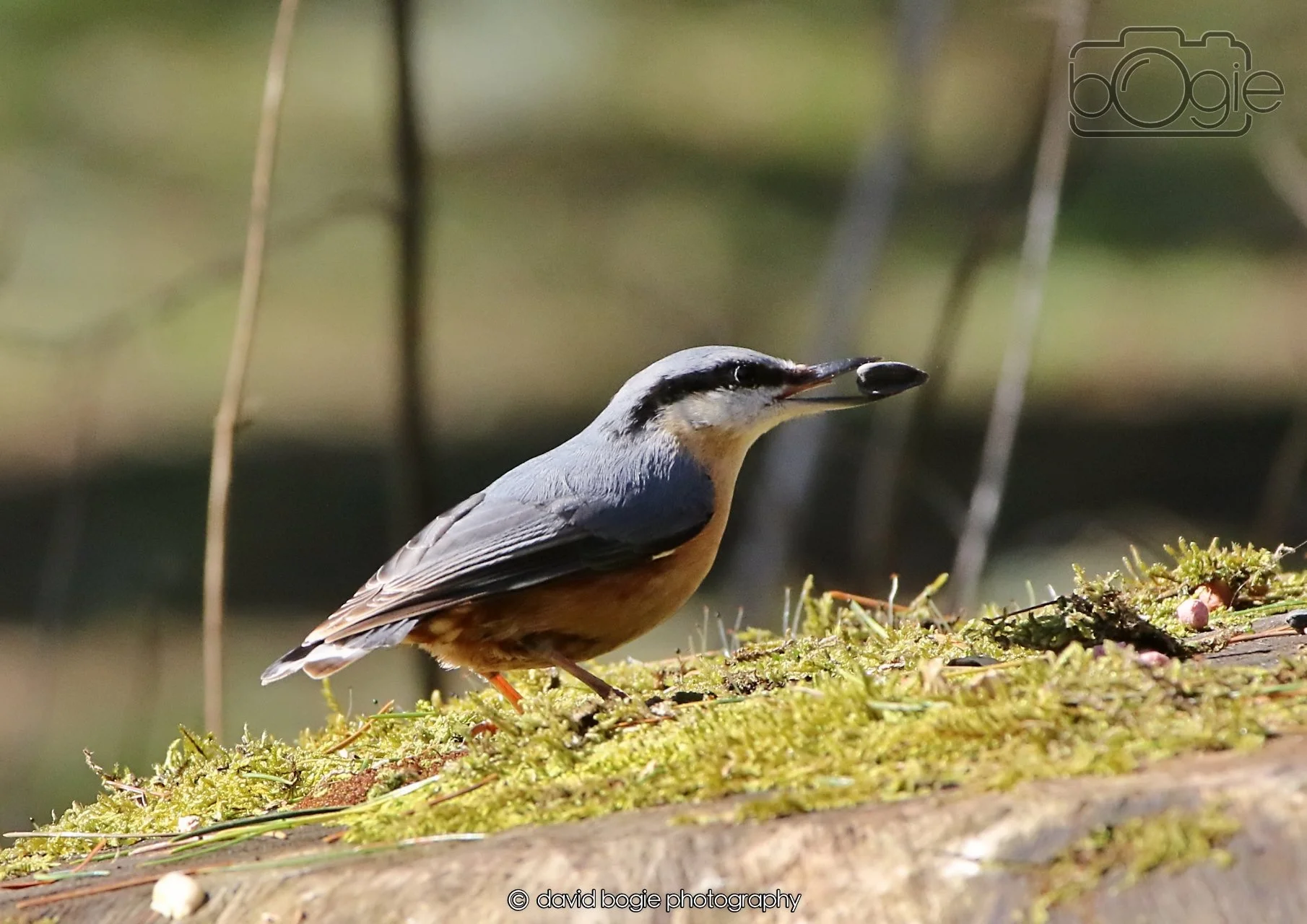 20260402 123911 Ravenscraig 0495.jpg