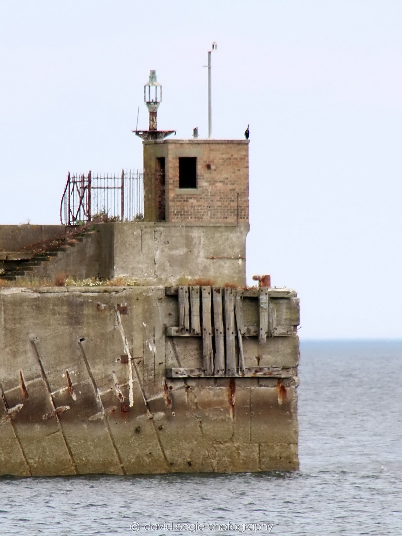 YEAR20230909 Kirkcaldy 151152 0156.jpg