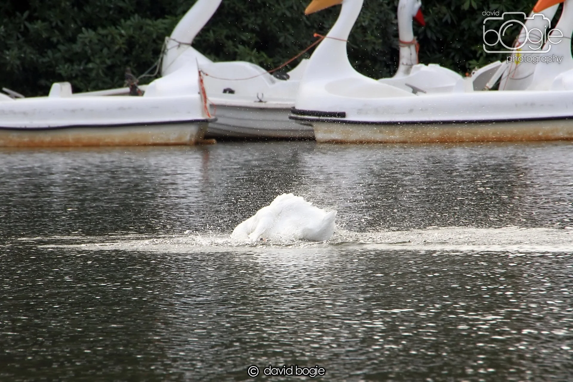 20240301 Beveridge 112715.jpg