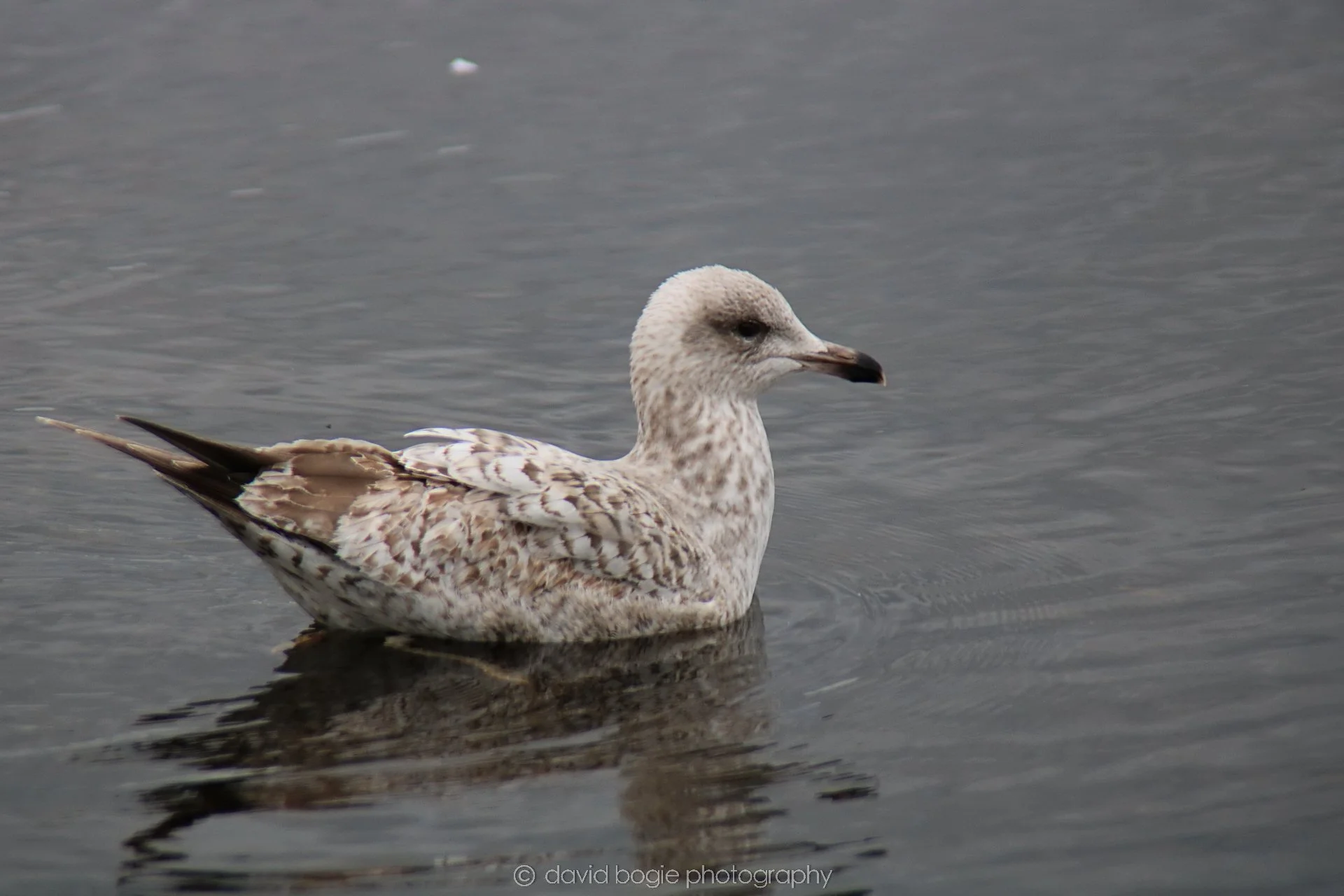 YEAR20220426 Lochore 20.jpg