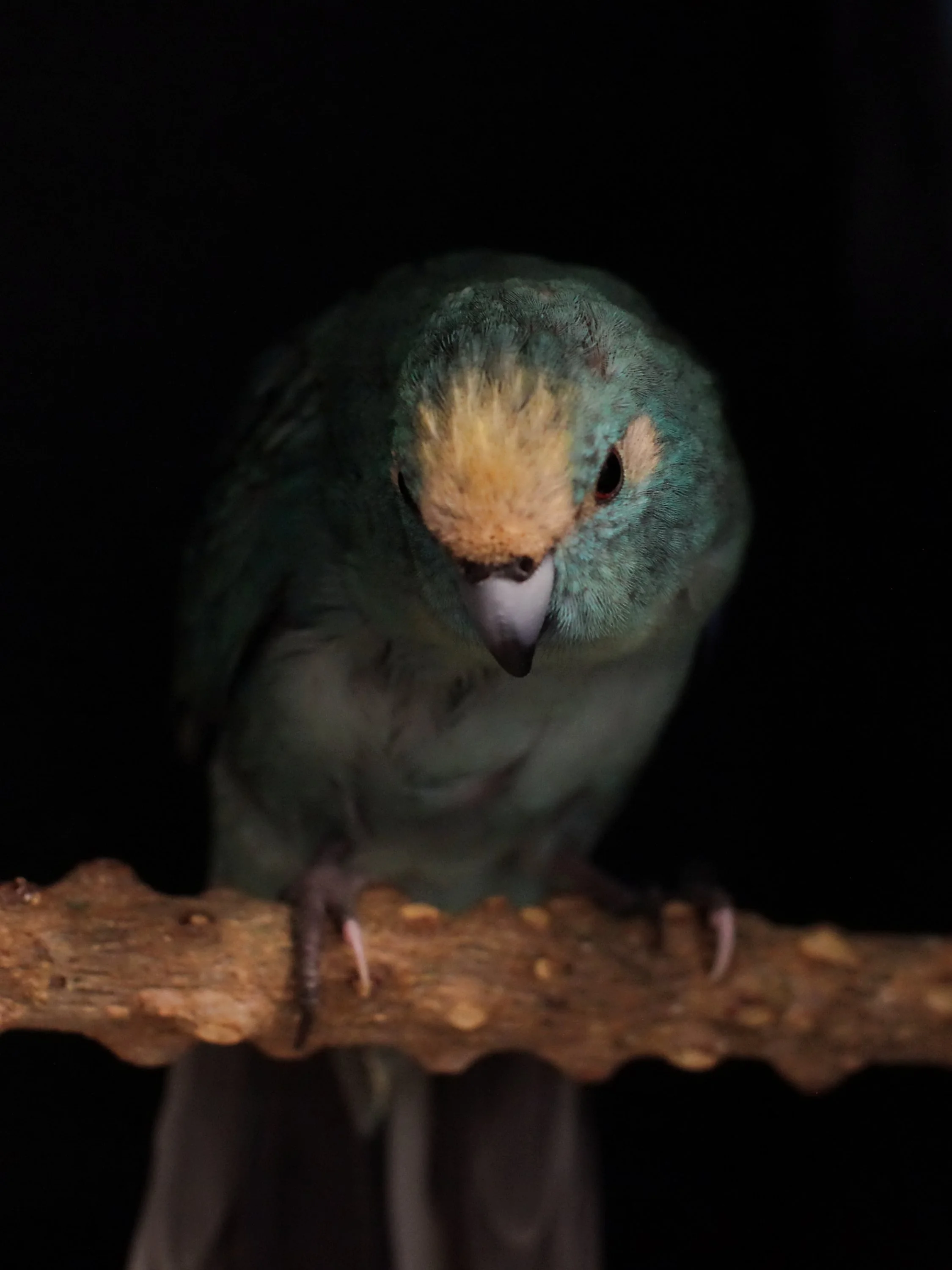 20251206 122218 K&S 0004.JPG