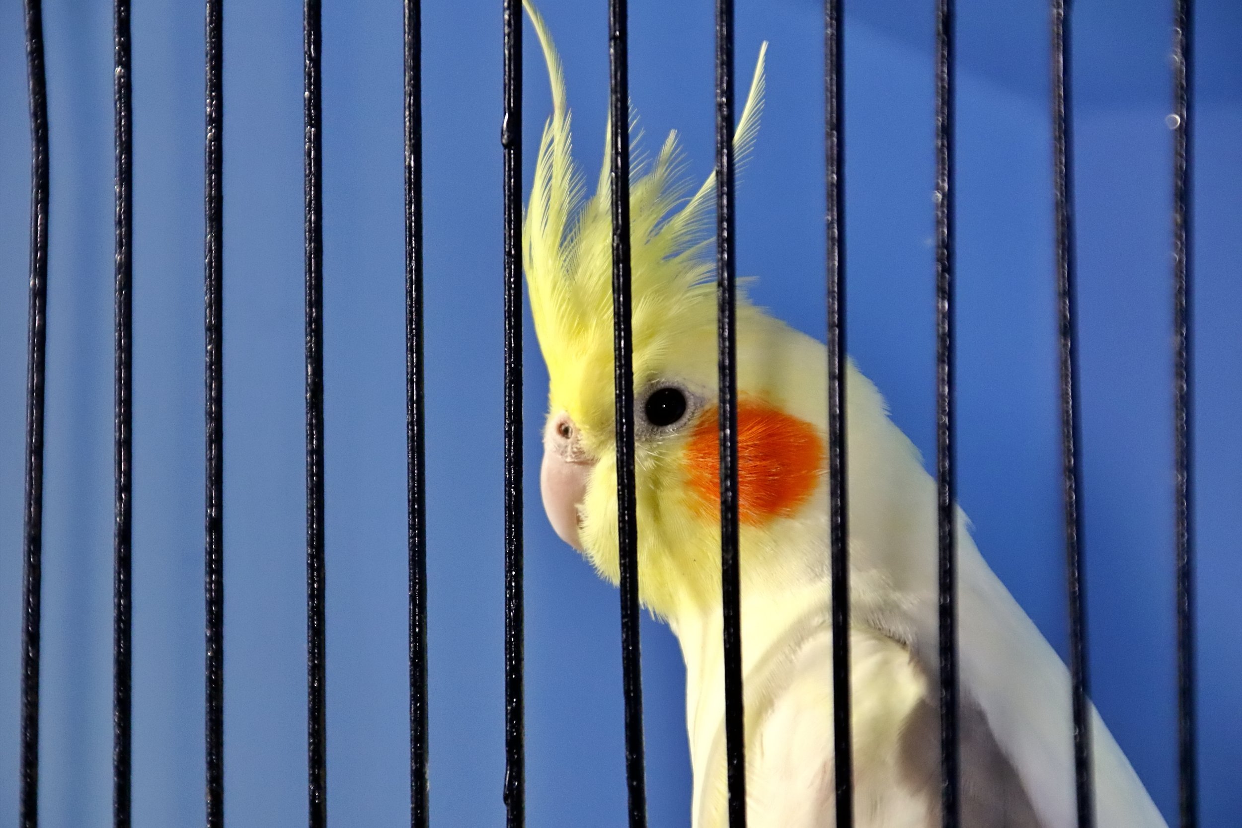 20251102 125513 Markinch CBS  0625.JPG