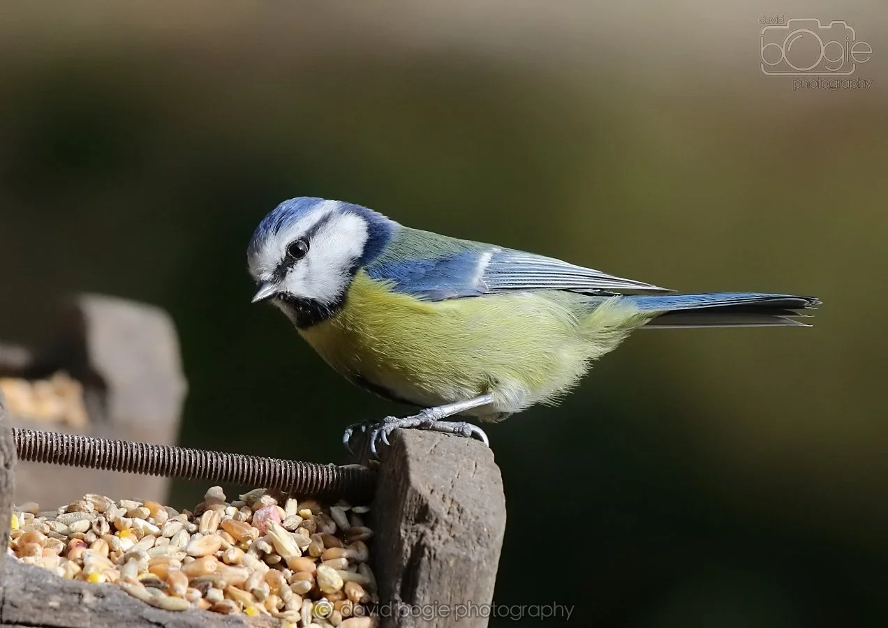 20260314 142355 Silverburn 0209.jpg