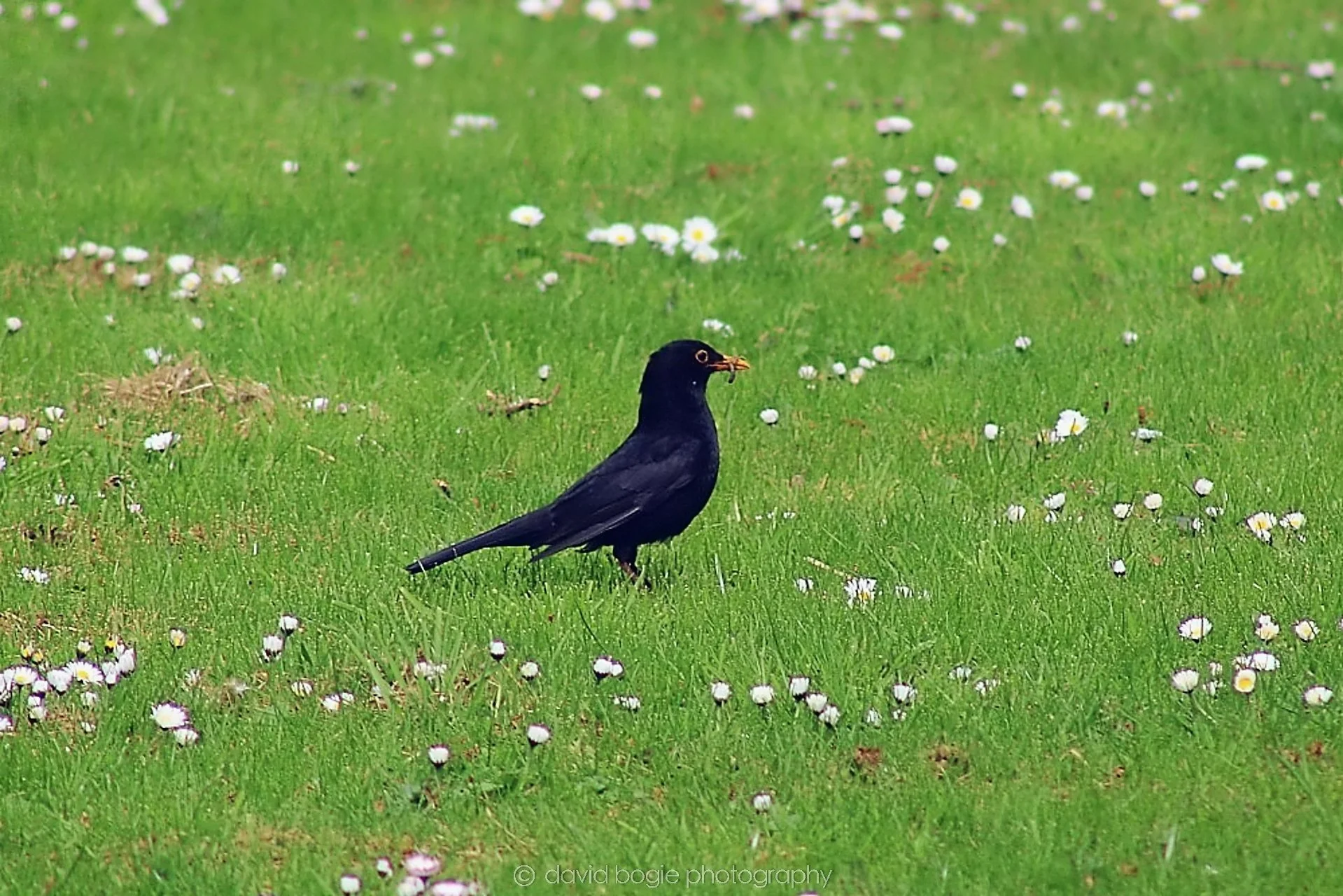 20190423 141648 Kirkcaldy 0001.jpg