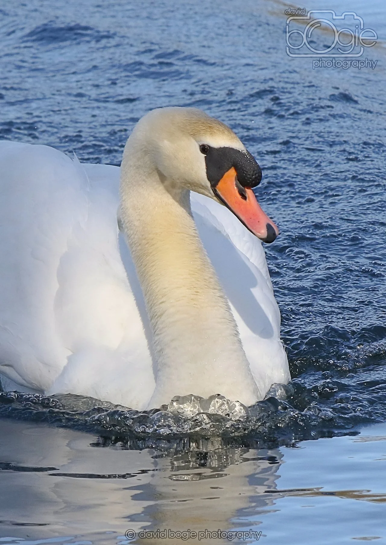 20260319 113014 Beveridge Park 0073.jpg