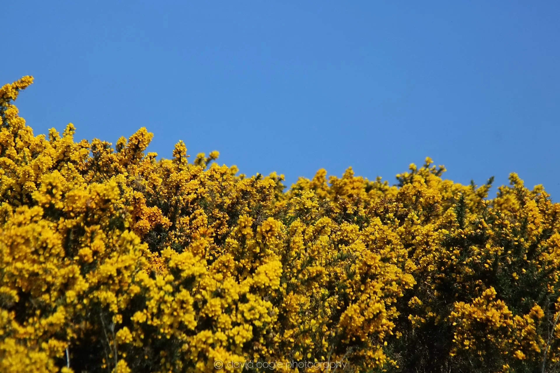 20210530 Lochore 16.jpg