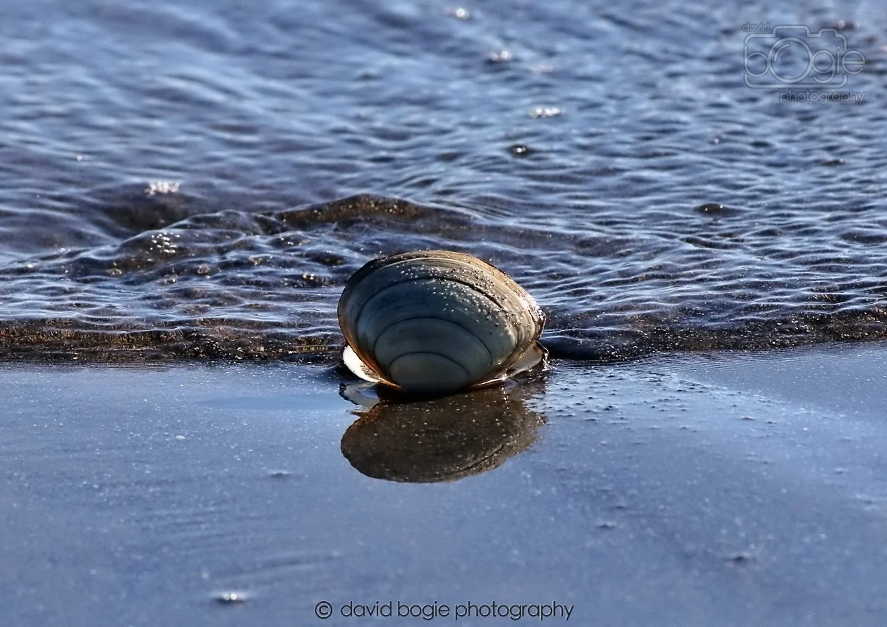 20260307 111434 Kirkcaldy 0077.jpg