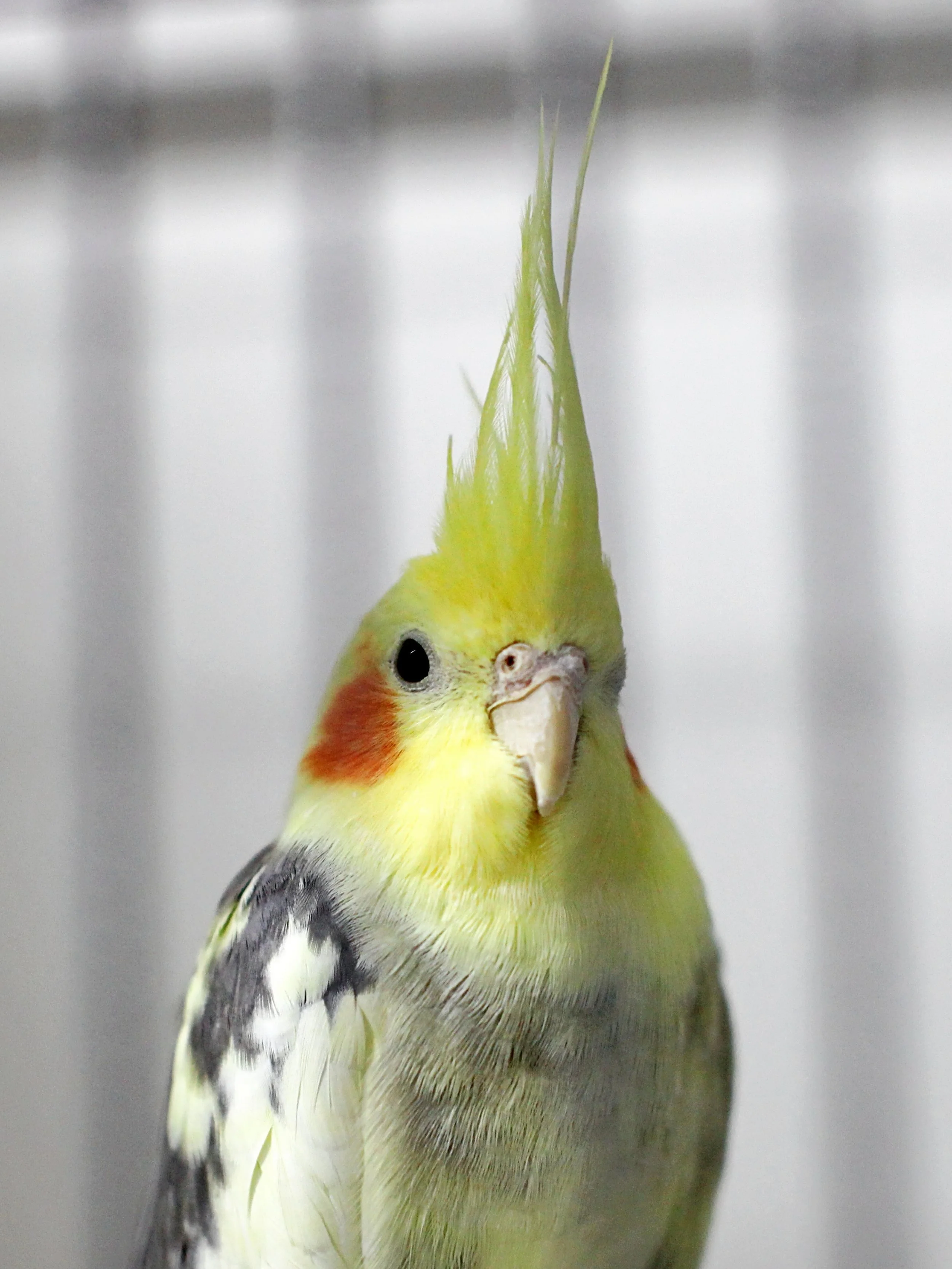 20251117 133223 IMG_0043.JPG