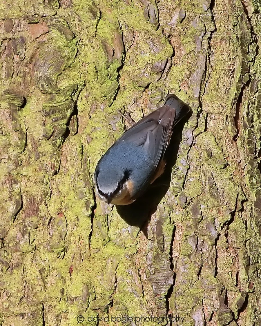 20260128 132706 Dunnikier 0183.jpg