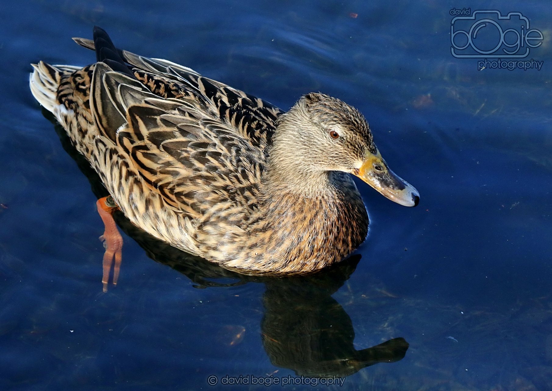 20260319 112841 Beveridge Park 0033.jpg