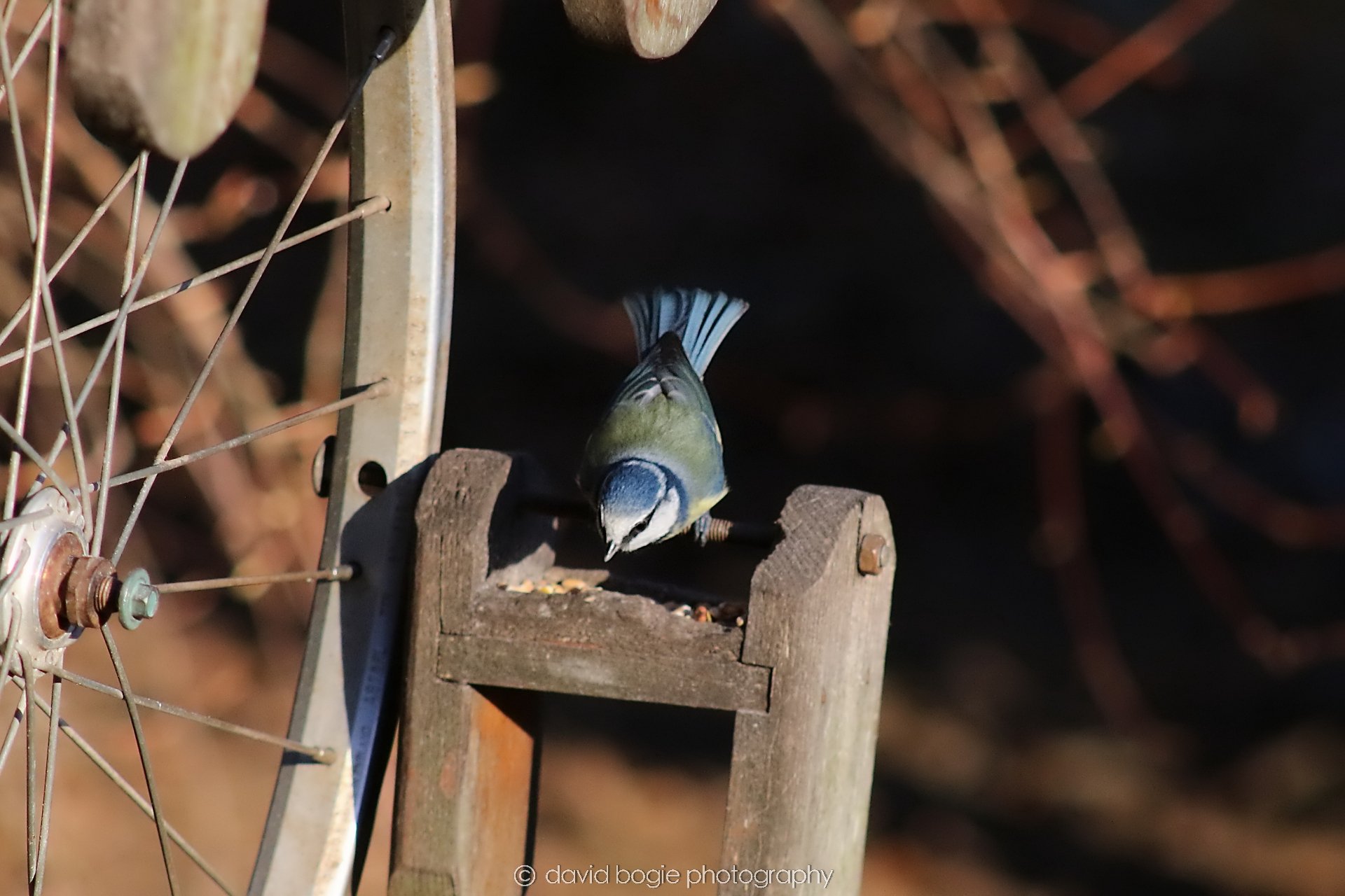 YEAR20251231 133834 Silverburn 0146.jpg